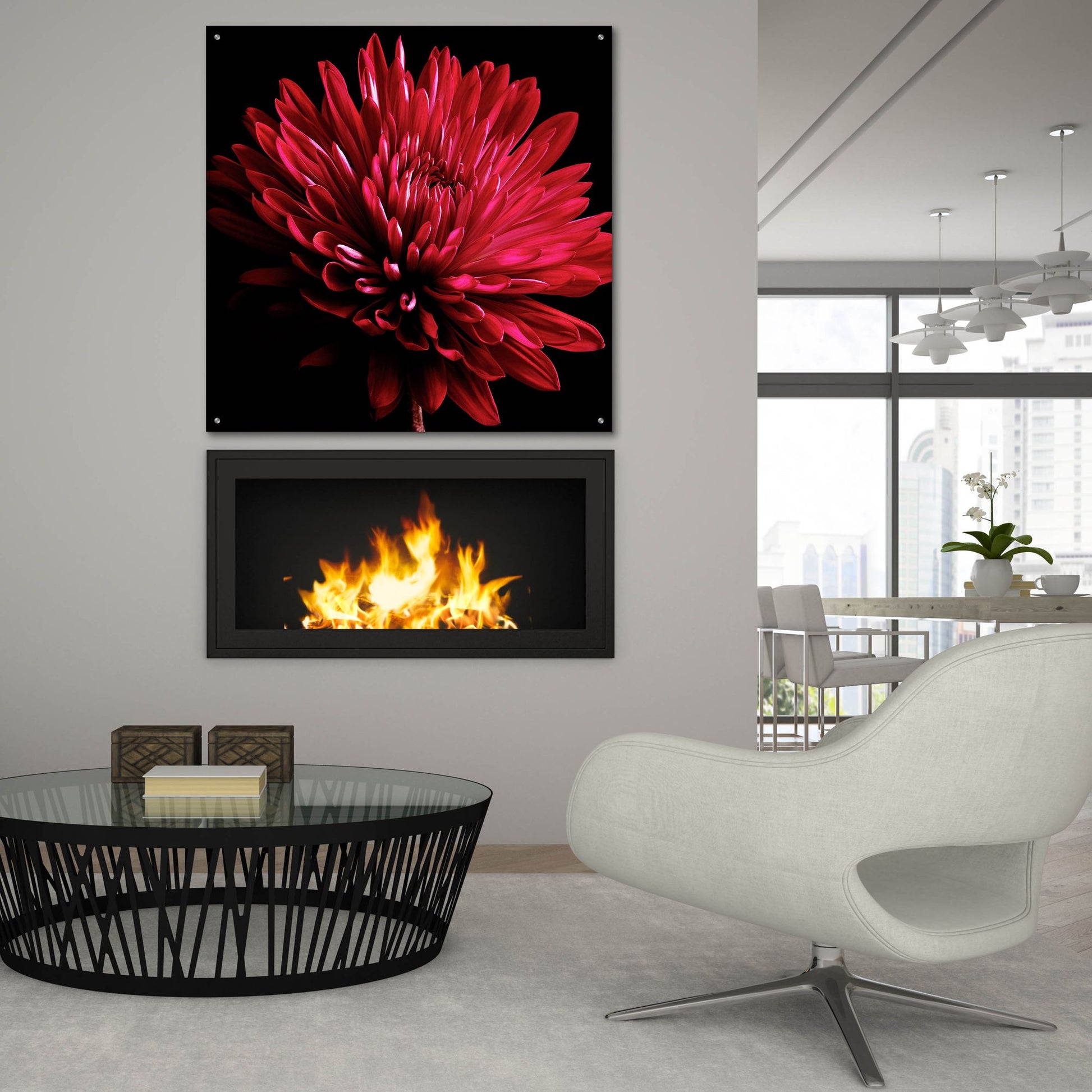 Epic Art 'Red Chrysanthemum on Black' by Tom Quartermaine, Acrylic Glass Wall Art,36x36