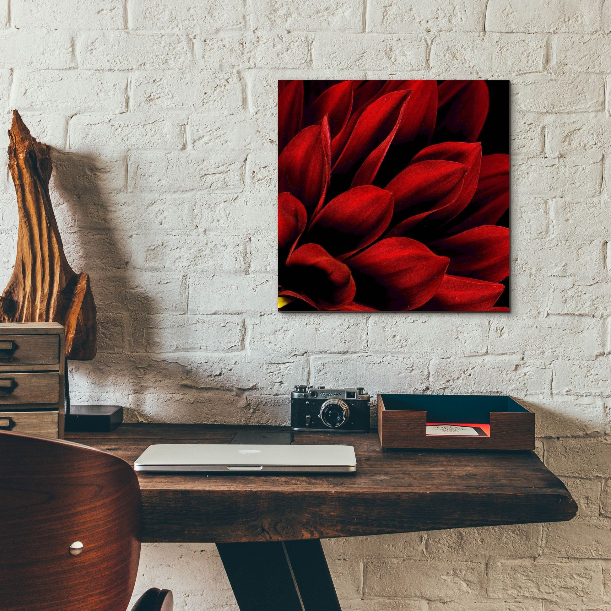 Epic Art 'Red Dahlia Close up' by Tom Quartermaine, Acrylic Glass Wall Art,12x12