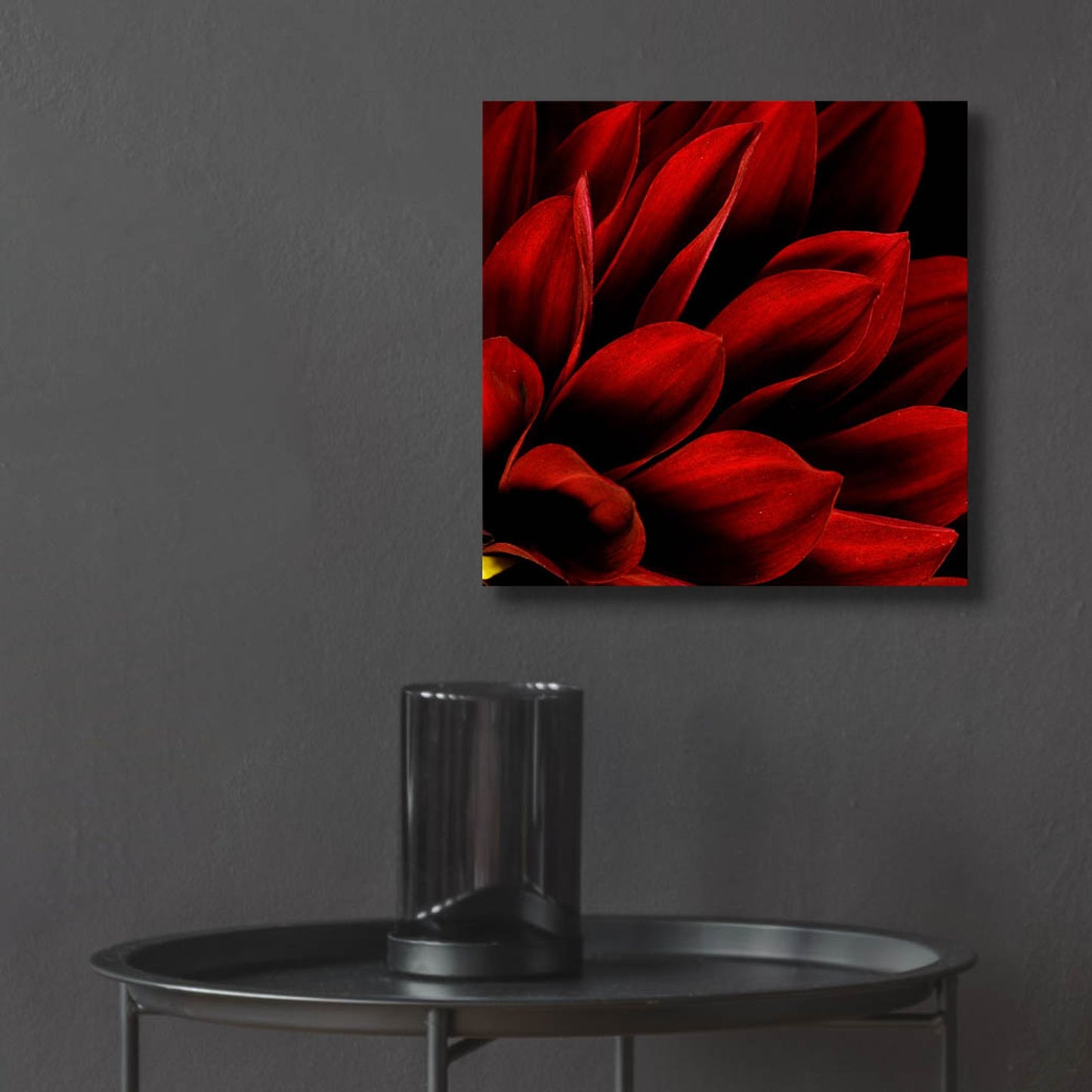 Epic Art 'Red Dahlia Close up' by Tom Quartermaine, Acrylic Glass Wall Art,12x12