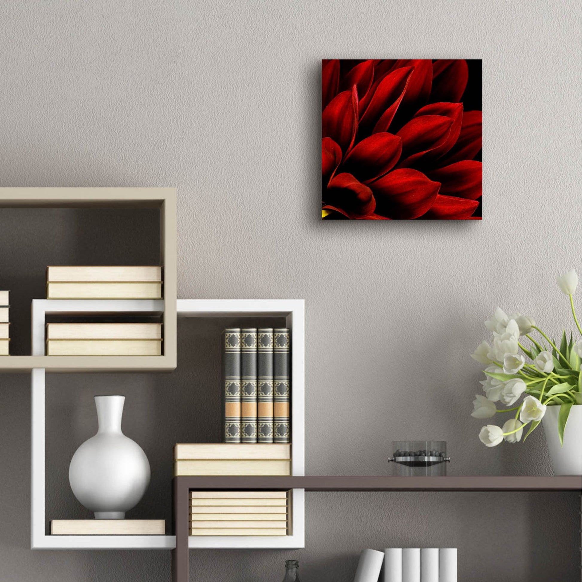 Epic Art 'Red Dahlia Close up' by Tom Quartermaine, Acrylic Glass Wall Art,12x12