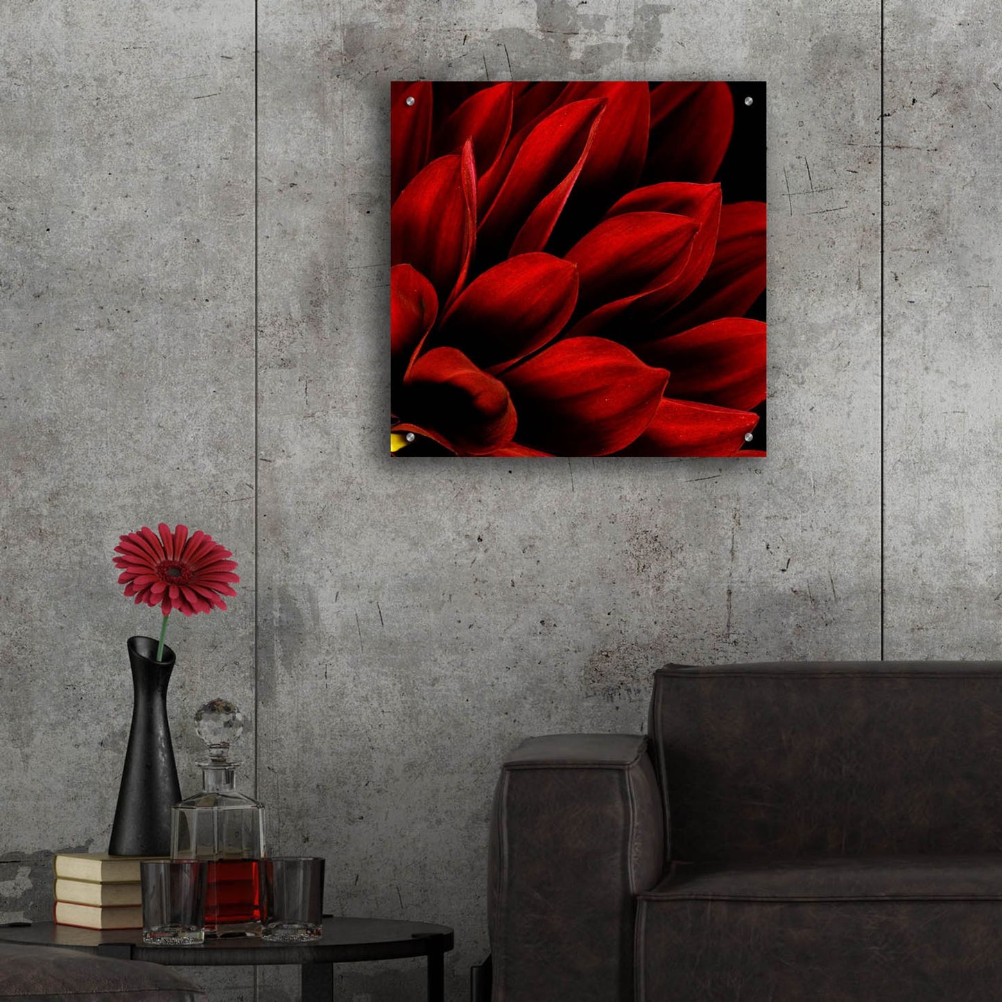 Epic Art 'Red Dahlia Close up' by Tom Quartermaine, Acrylic Glass Wall Art,24x24