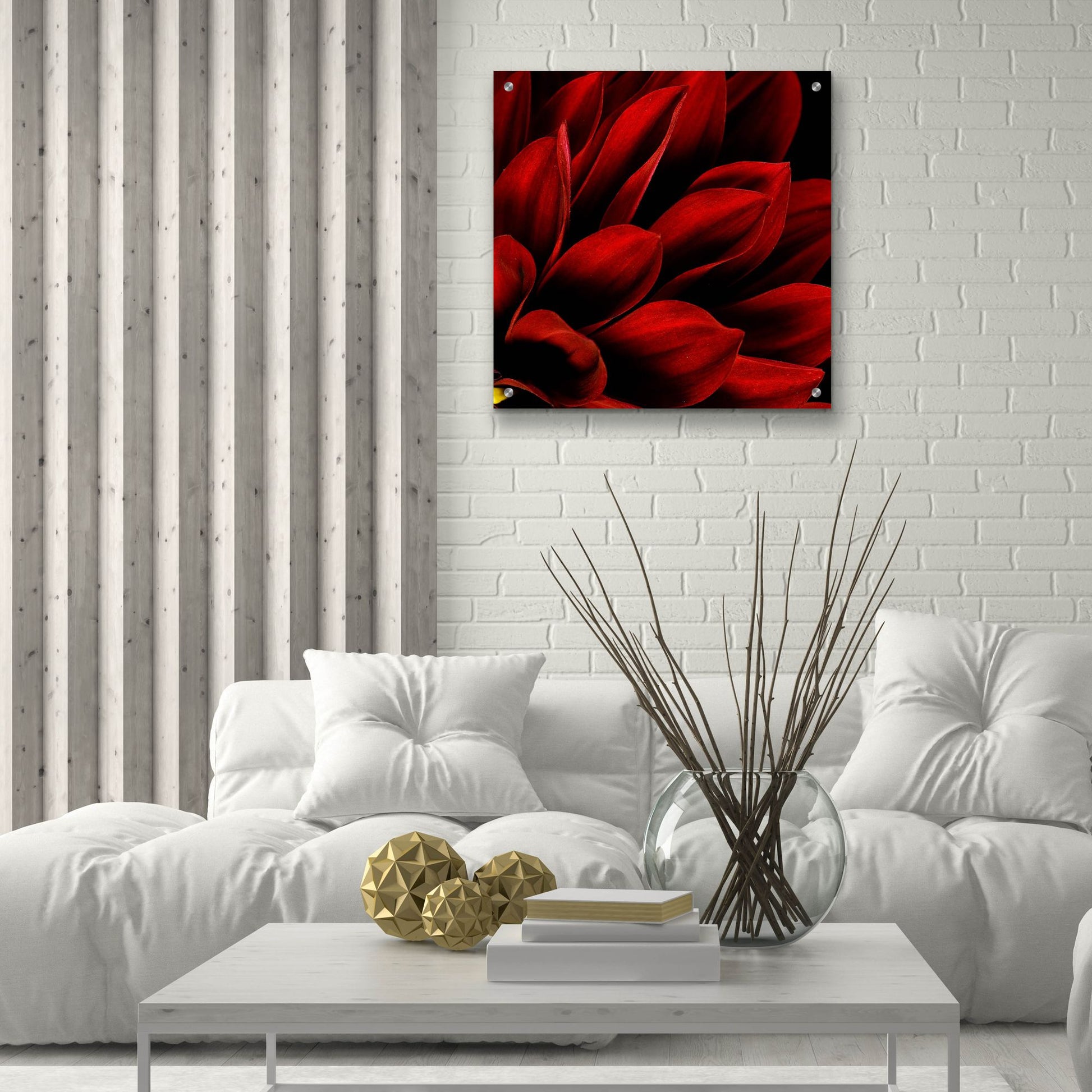 Epic Art 'Red Dahlia Close up' by Tom Quartermaine, Acrylic Glass Wall Art,24x24