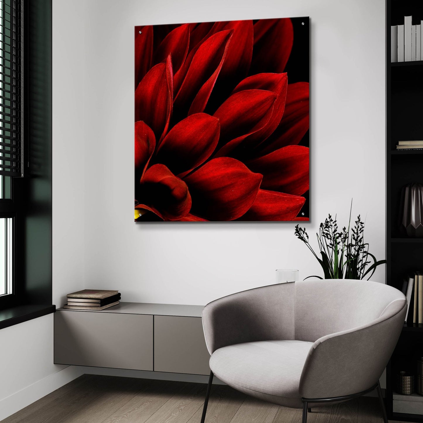 Epic Art 'Red Dahlia Close up' by Tom Quartermaine, Acrylic Glass Wall Art,36x36