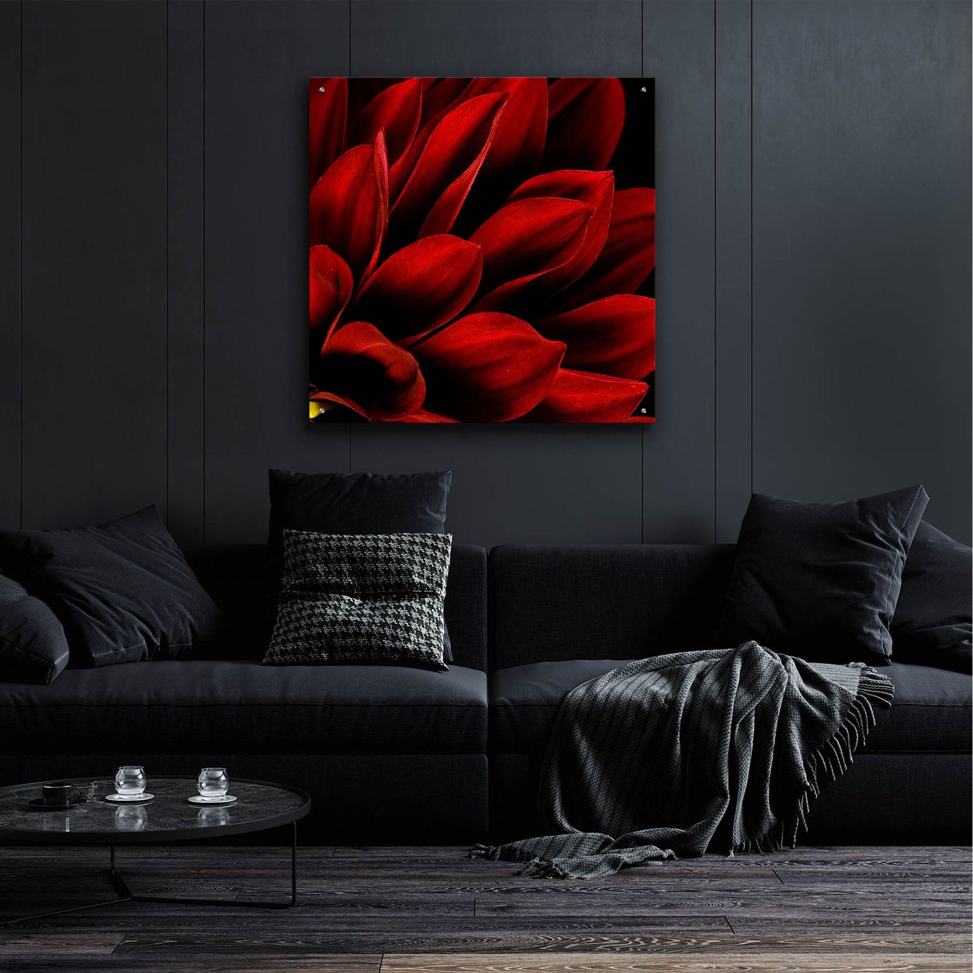 Epic Art 'Red Dahlia Close up' by Tom Quartermaine, Acrylic Glass Wall Art,36x36