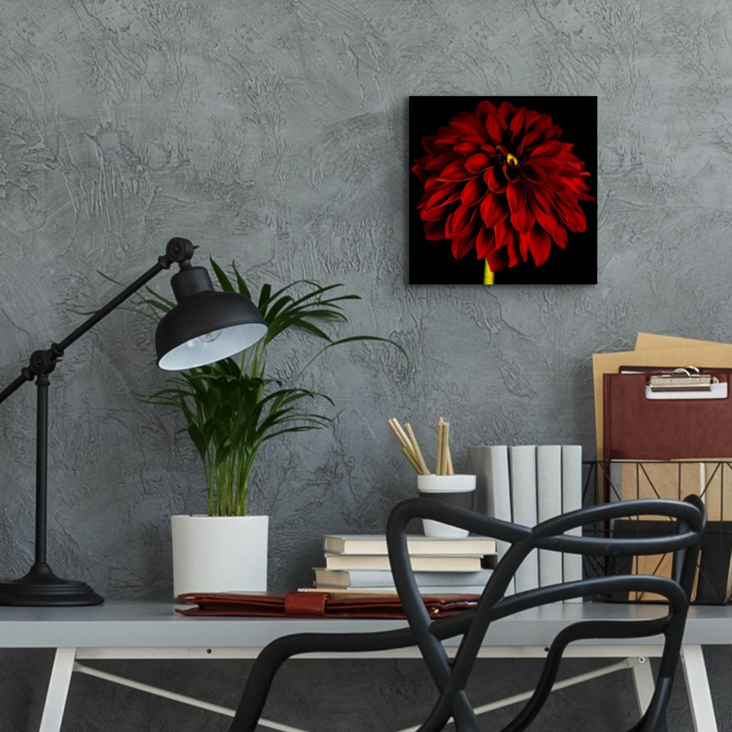 Epic Art 'Red Dahlia on Black 01' by Tom Quartermaine, Acrylic Glass Wall Art,12x12