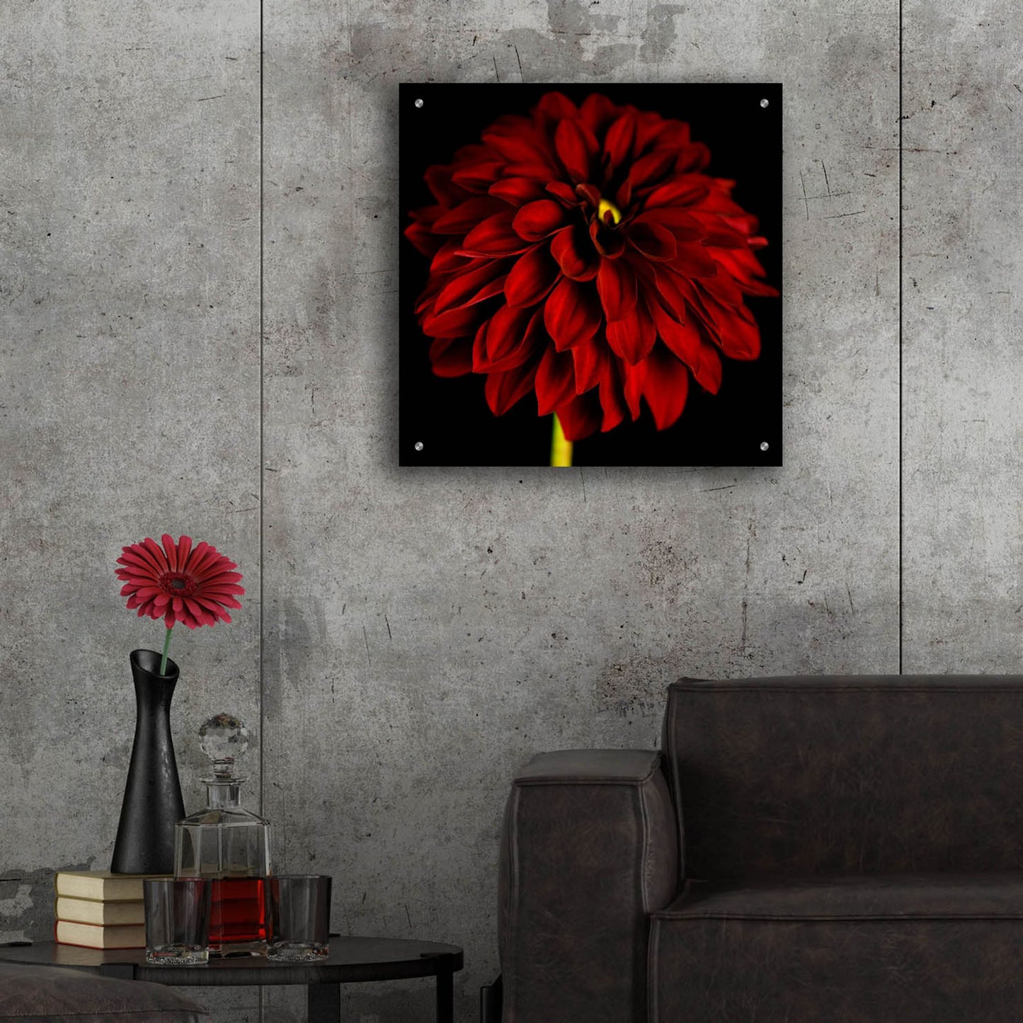 Epic Art 'Red Dahlia on Black 01' by Tom Quartermaine, Acrylic Glass Wall Art,24x24