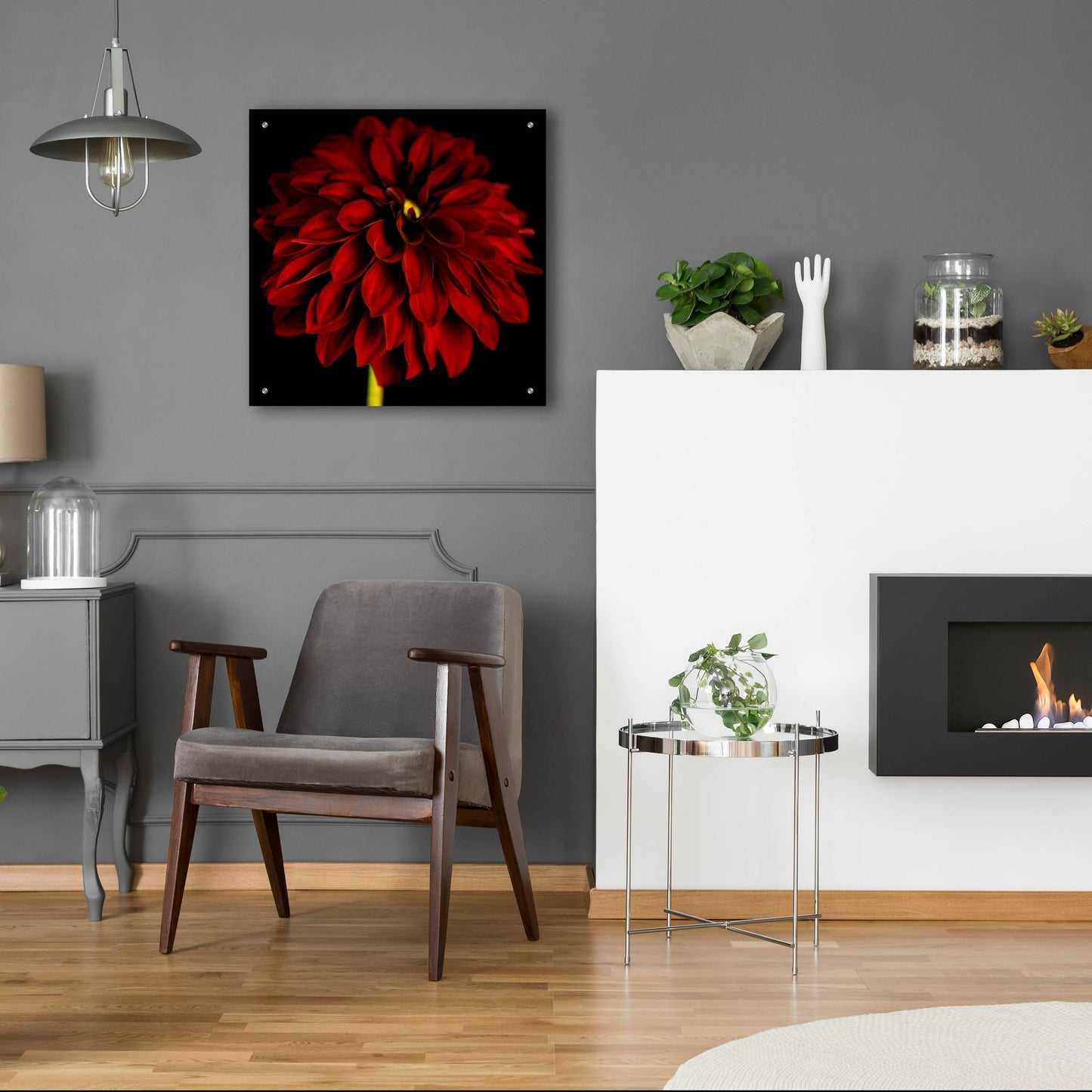 Epic Art 'Red Dahlia on Black 01' by Tom Quartermaine, Acrylic Glass Wall Art,24x24