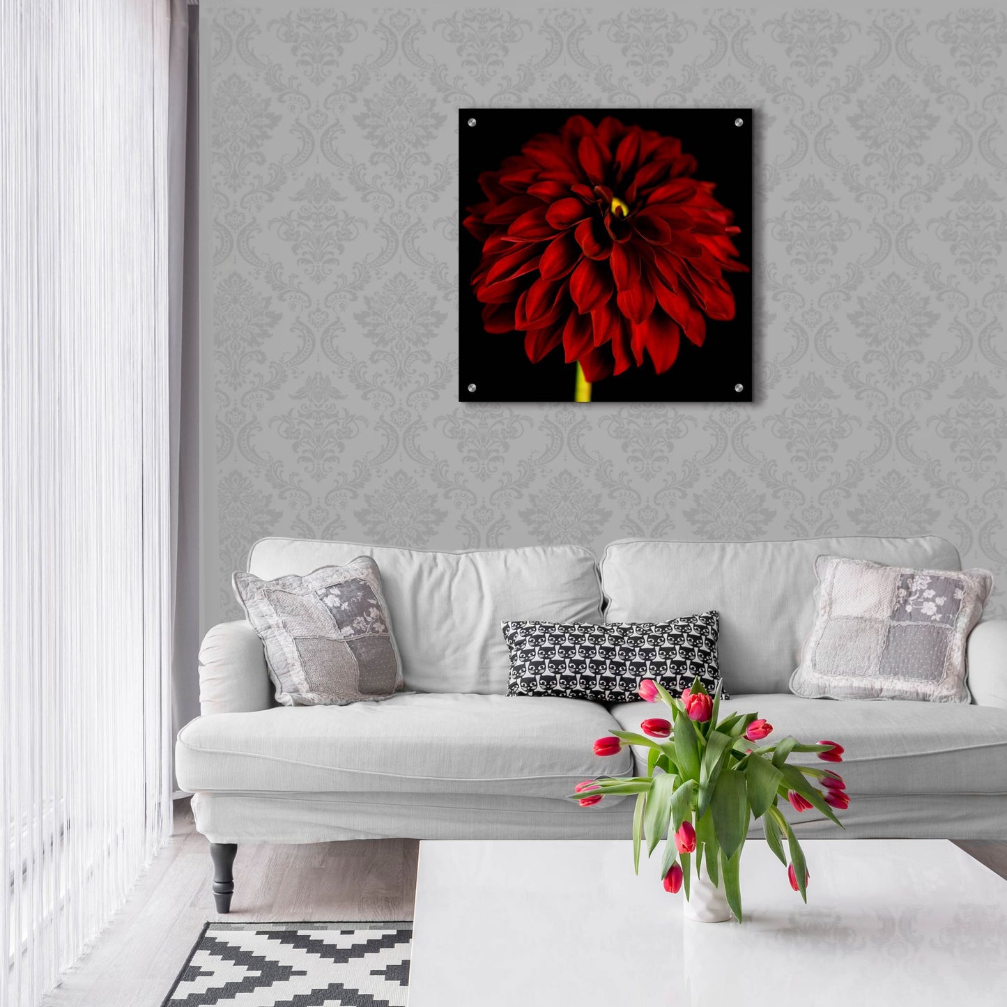 Epic Art 'Red Dahlia on Black 01' by Tom Quartermaine, Acrylic Glass Wall Art,24x24