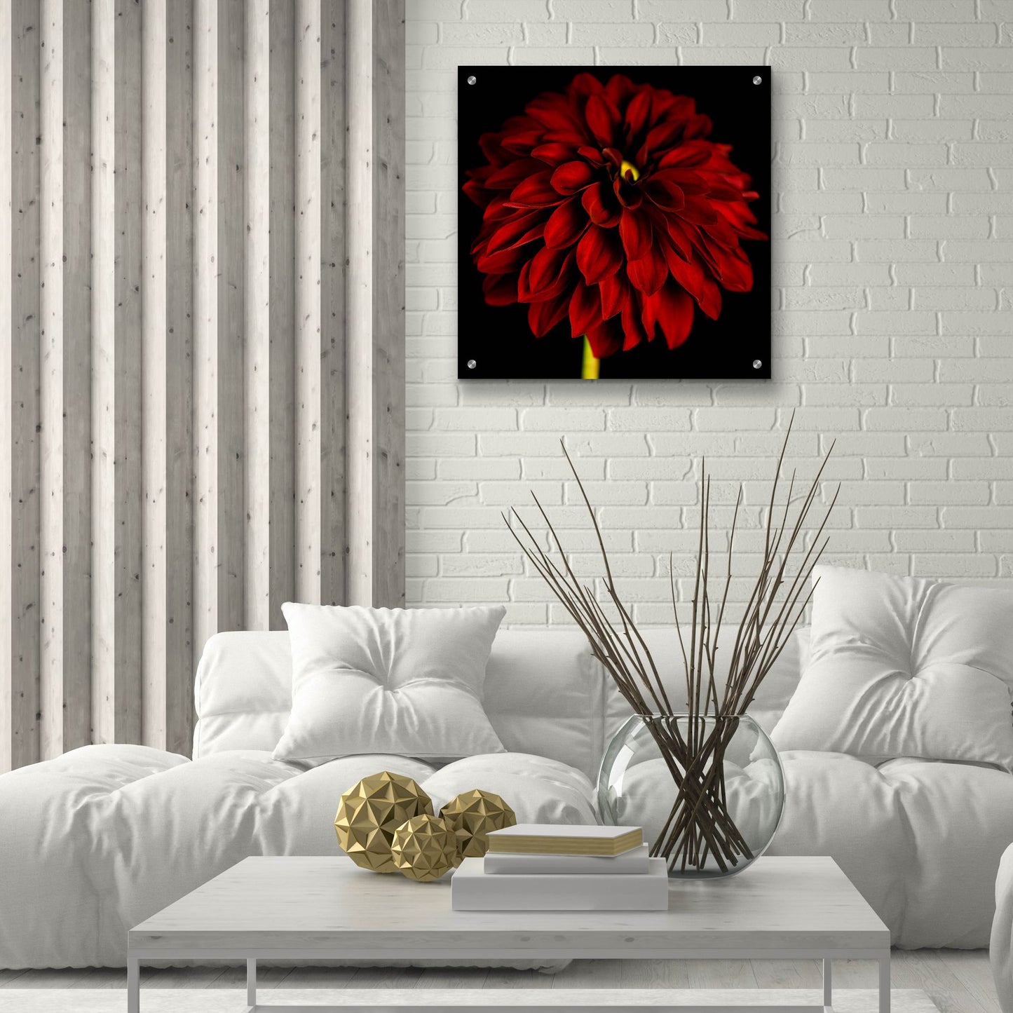 Epic Art 'Red Dahlia on Black 01' by Tom Quartermaine, Acrylic Glass Wall Art,24x24