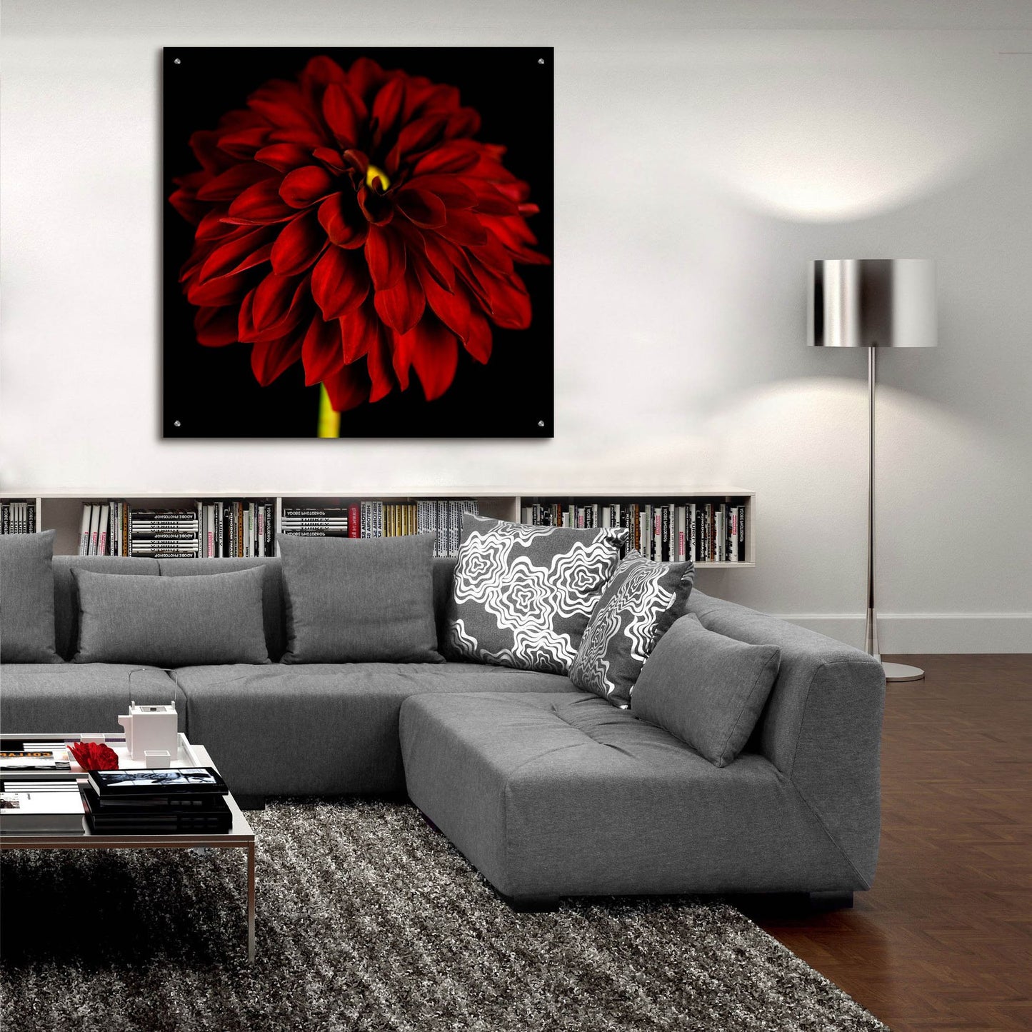 Epic Art 'Red Dahlia on Black 01' by Tom Quartermaine, Acrylic Glass Wall Art,36x36