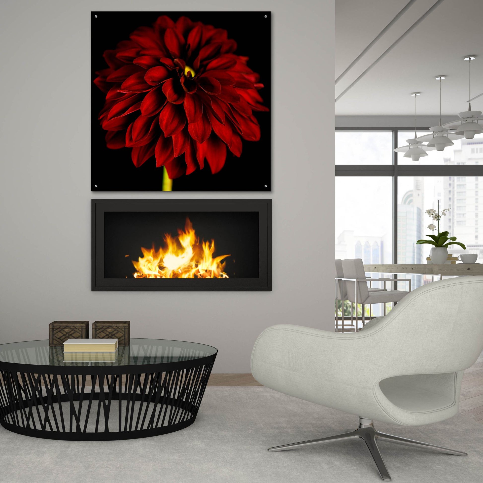 Epic Art 'Red Dahlia on Black 01' by Tom Quartermaine, Acrylic Glass Wall Art,36x36