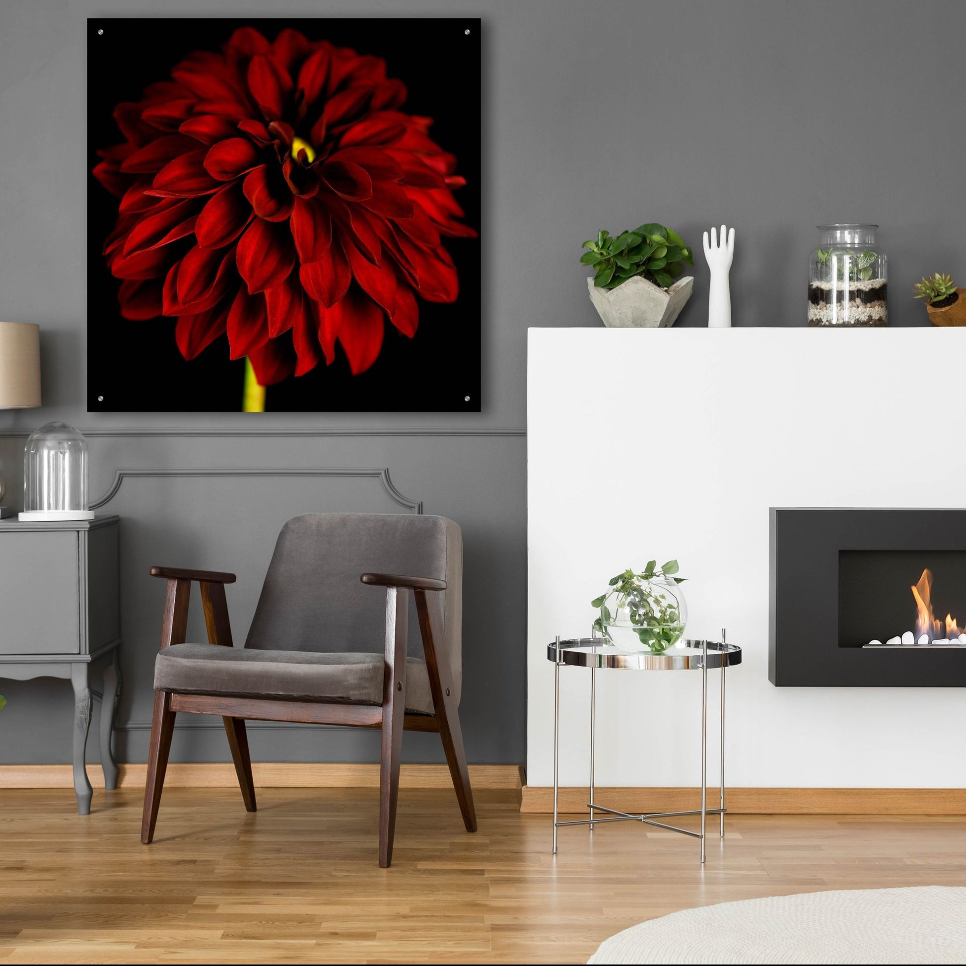 Epic Art 'Red Dahlia on Black 01' by Tom Quartermaine, Acrylic Glass Wall Art,36x36