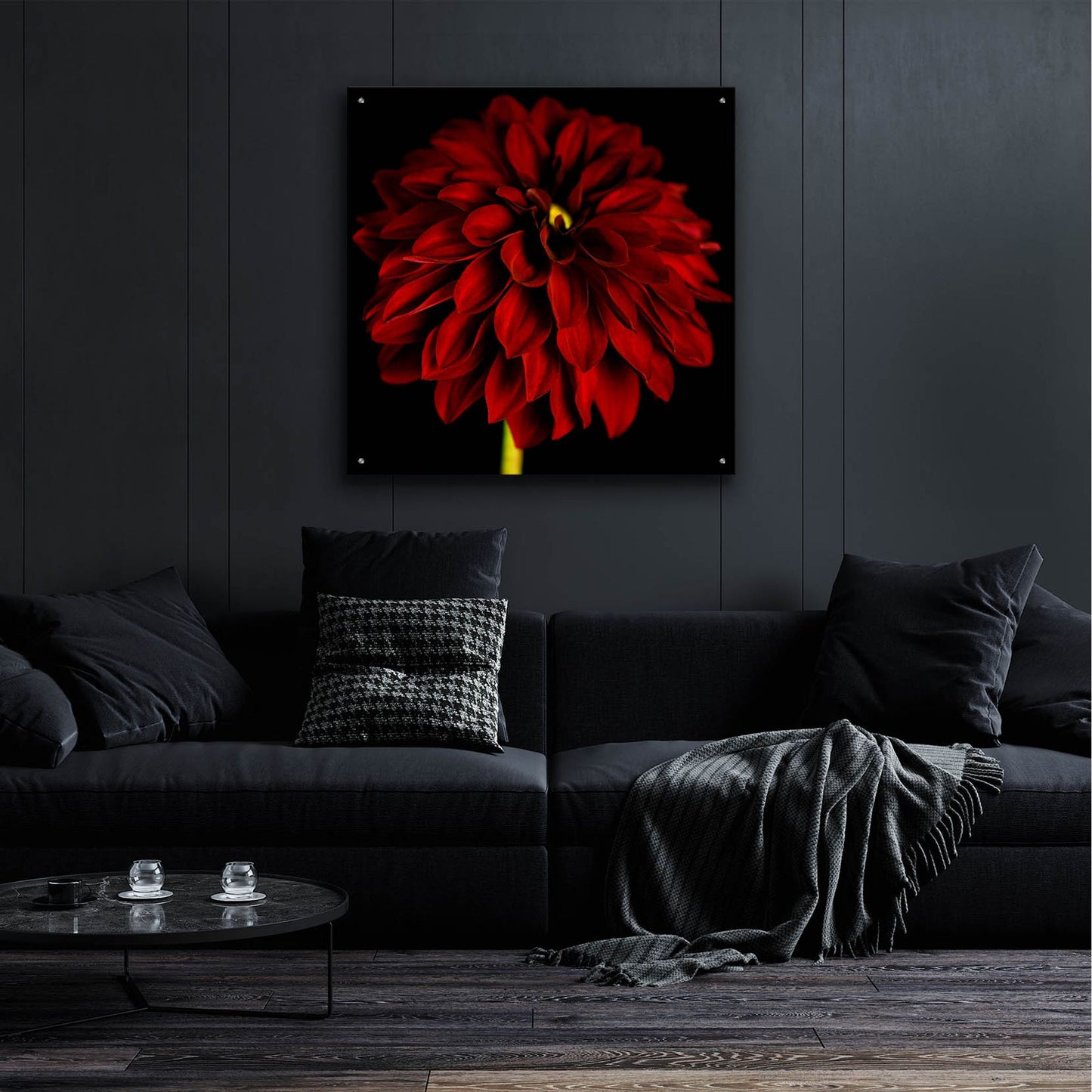 Epic Art 'Red Dahlia on Black 01' by Tom Quartermaine, Acrylic Glass Wall Art,36x36