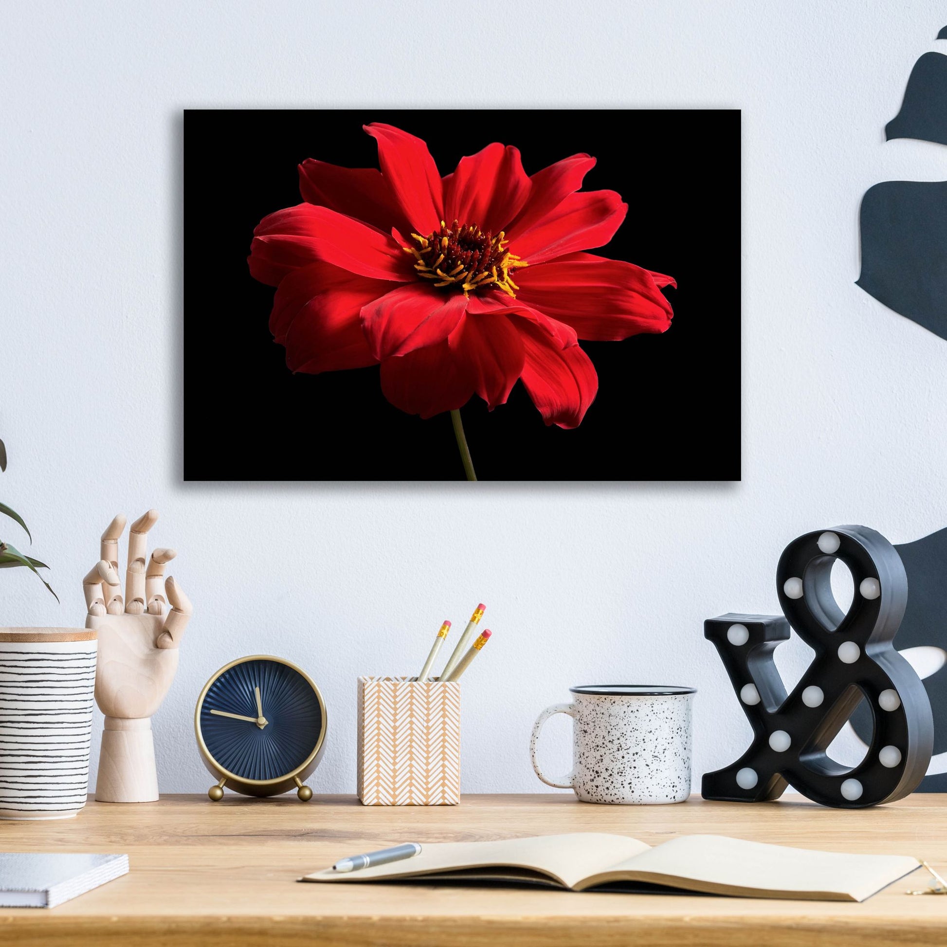 Epic Art 'Red Flower on Black 01' by Tom Quartermaine, Acrylic Glass Wall Art,16x12