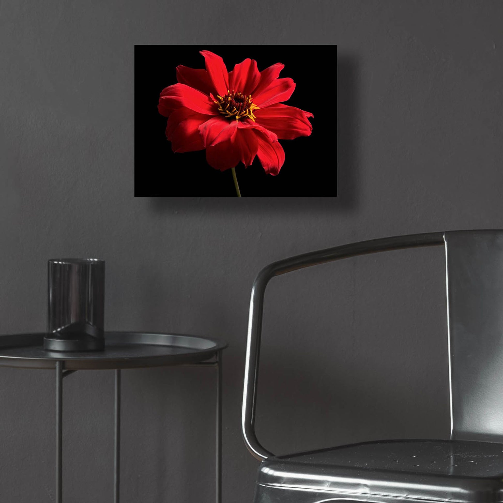 Epic Art 'Red Flower on Black 01' by Tom Quartermaine, Acrylic Glass Wall Art,16x12