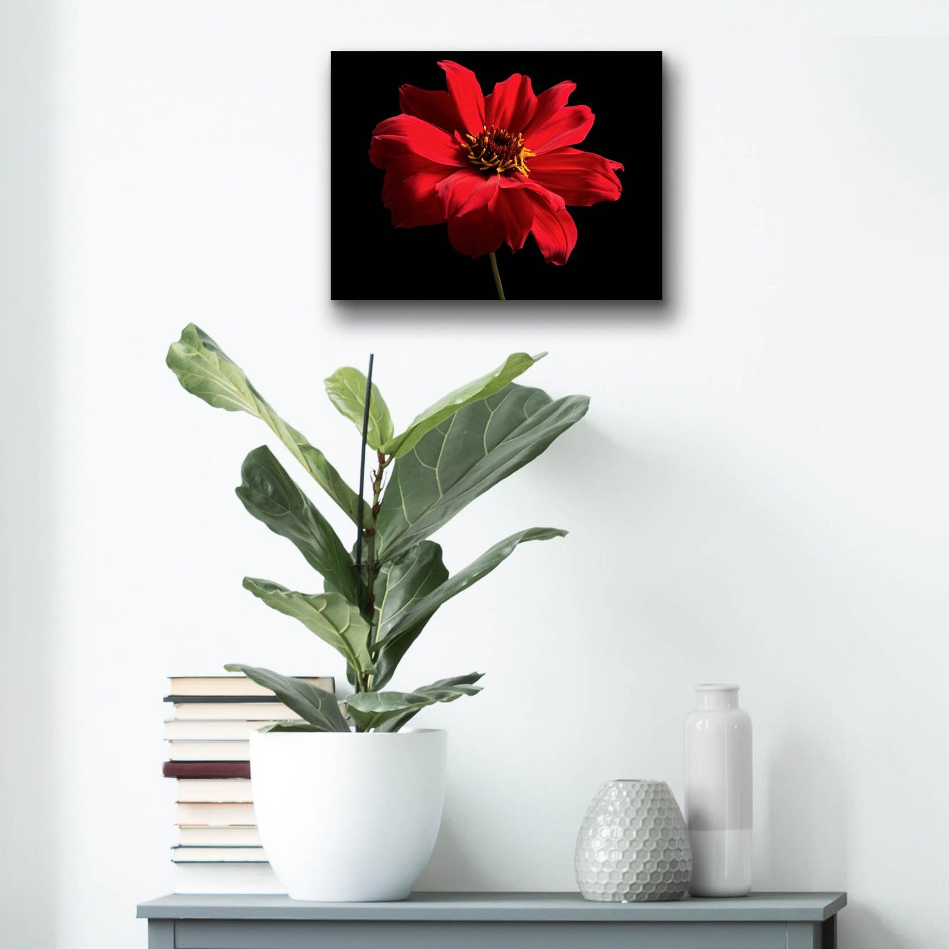 Epic Art 'Red Flower on Black 01' by Tom Quartermaine, Acrylic Glass Wall Art,16x12