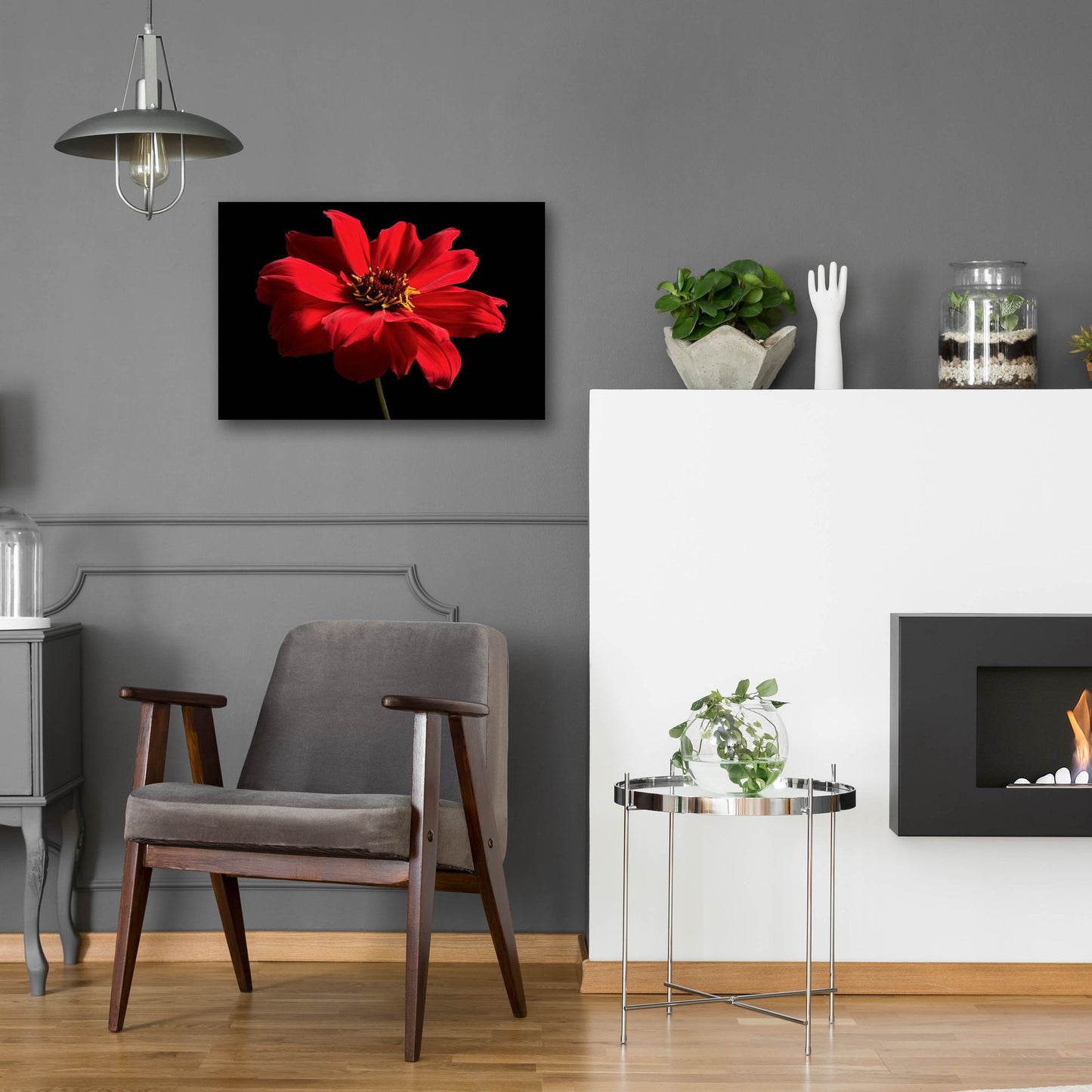 Epic Art 'Red Flower on Black 01' by Tom Quartermaine, Acrylic Glass Wall Art,24x16