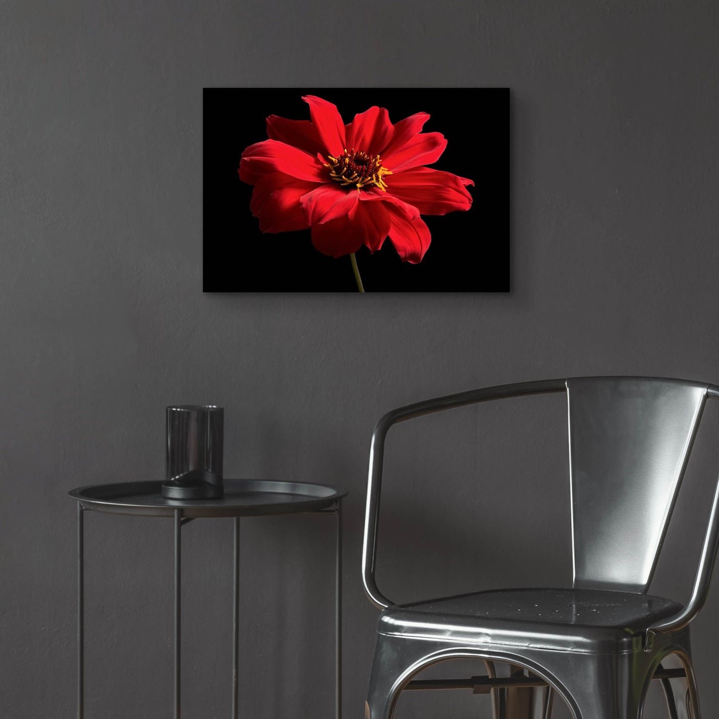 Epic Art 'Red Flower on Black 01' by Tom Quartermaine, Acrylic Glass Wall Art,24x16