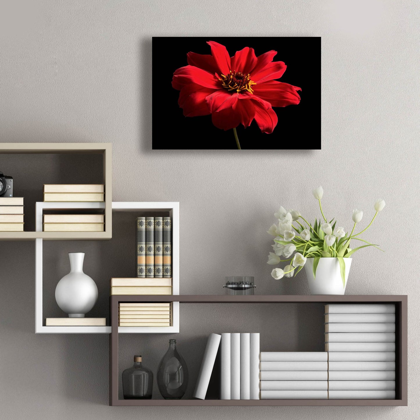 Epic Art 'Red Flower on Black 01' by Tom Quartermaine, Acrylic Glass Wall Art,24x16