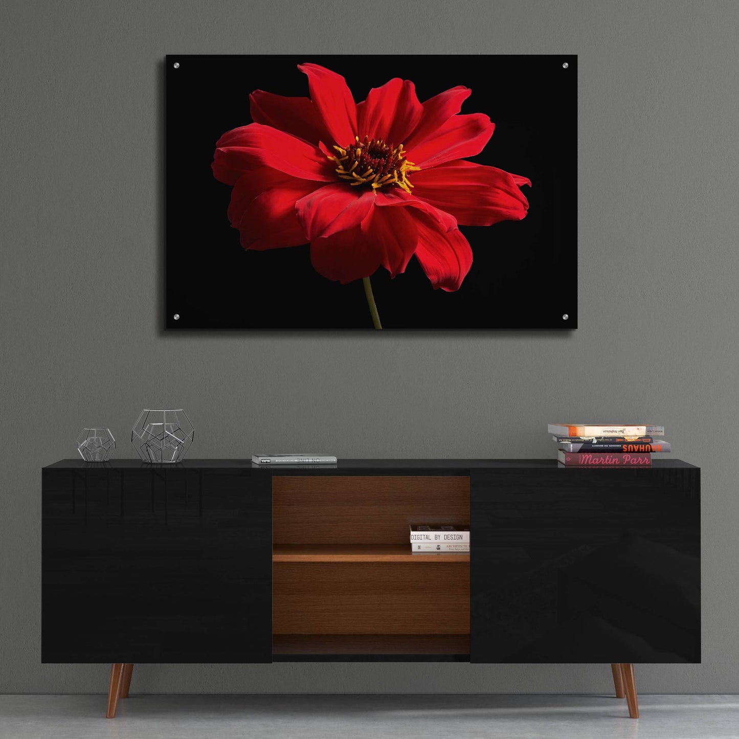 Epic Art 'Red Flower on Black 01' by Tom Quartermaine, Acrylic Glass Wall Art,36x24