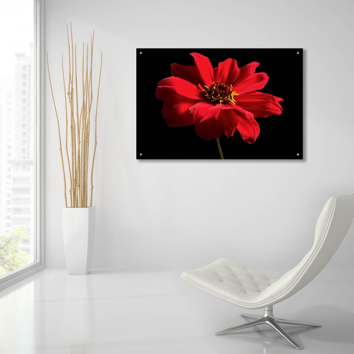 Epic Art 'Red Flower on Black 01' by Tom Quartermaine, Acrylic Glass Wall Art,36x24