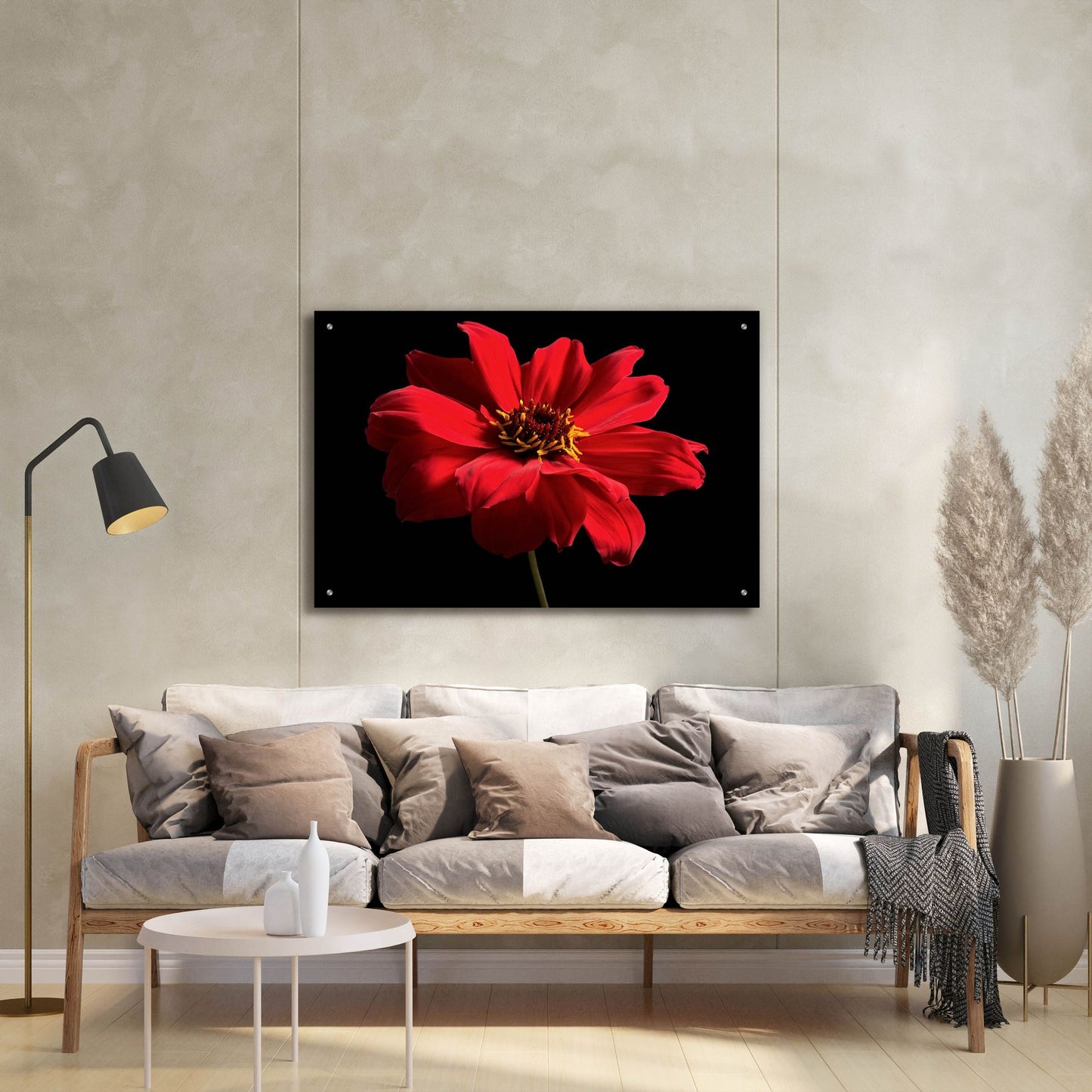 Epic Art 'Red Flower on Black 01' by Tom Quartermaine, Acrylic Glass Wall Art,36x24