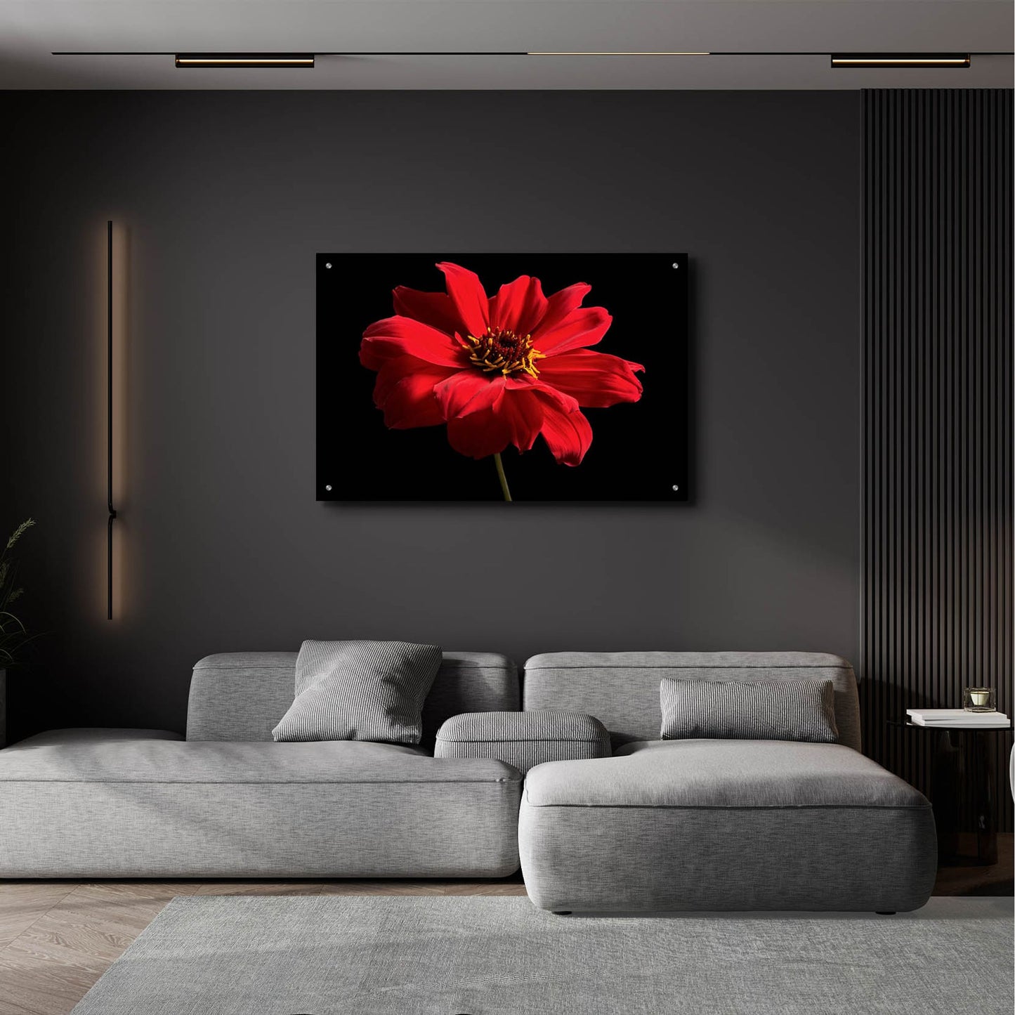 Epic Art 'Red Flower on Black 01' by Tom Quartermaine, Acrylic Glass Wall Art,36x24