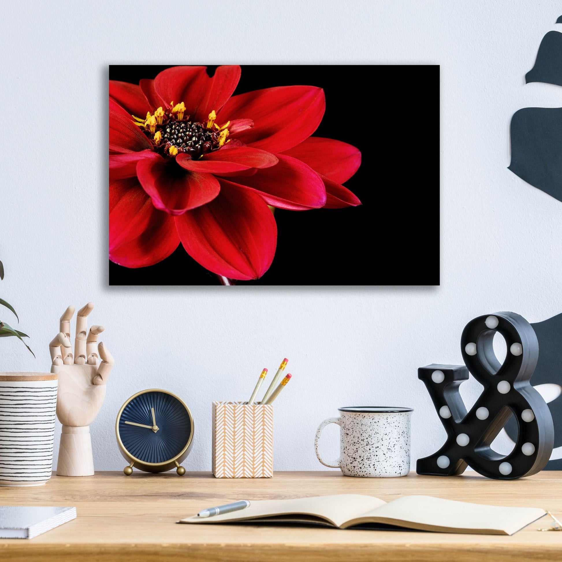 Epic Art 'Red Flower on Black 02' by Tom Quartermaine, Acrylic Glass Wall Art,16x12