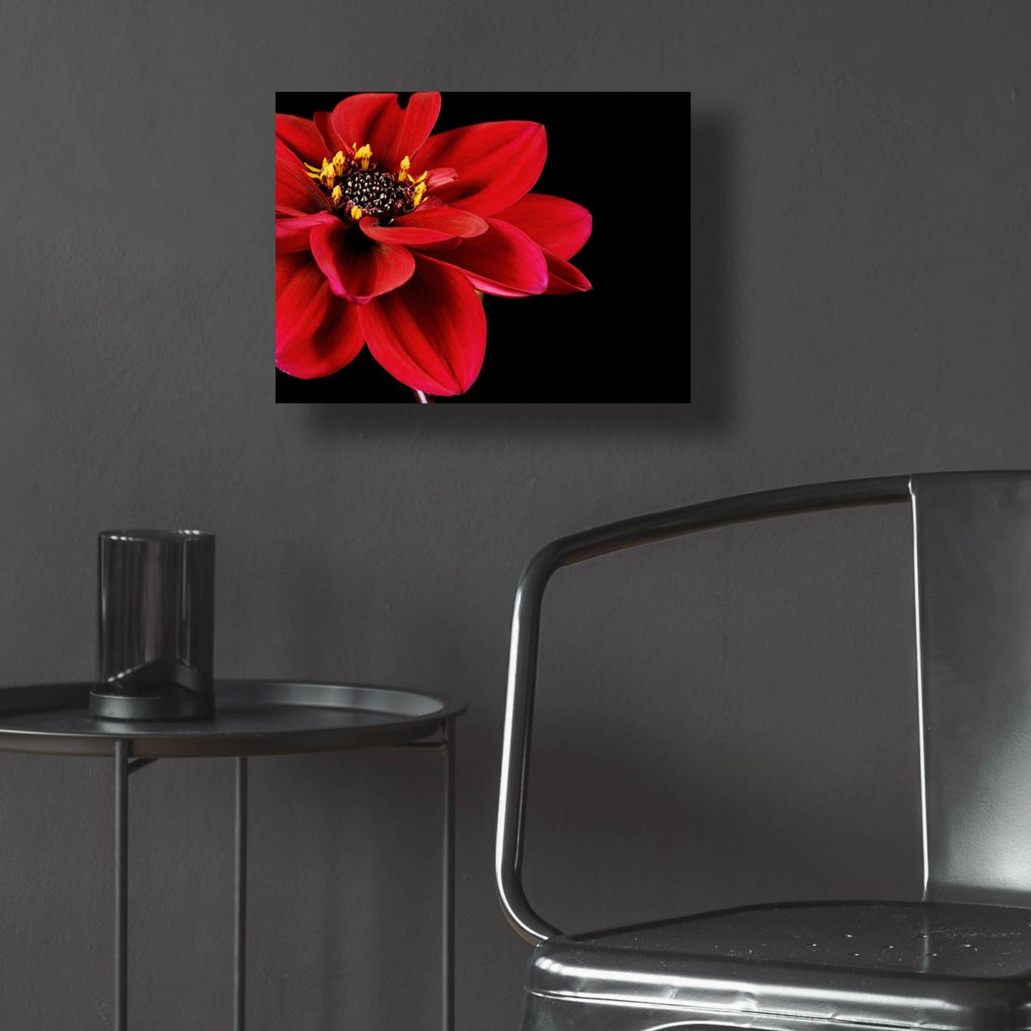 Epic Art 'Red Flower on Black 02' by Tom Quartermaine, Acrylic Glass Wall Art,16x12