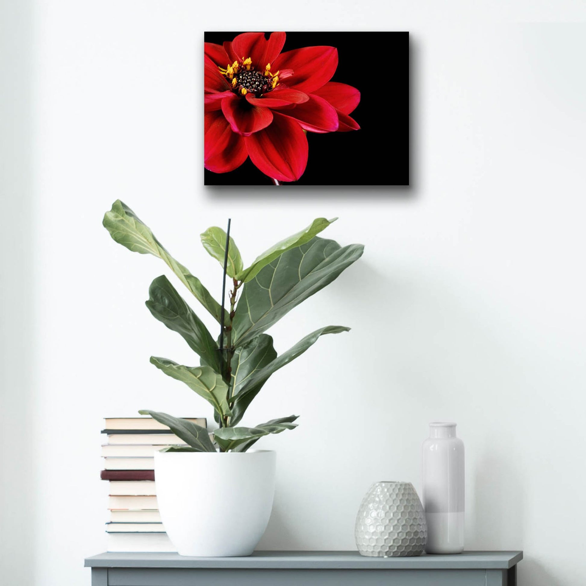 Epic Art 'Red Flower on Black 02' by Tom Quartermaine, Acrylic Glass Wall Art,16x12