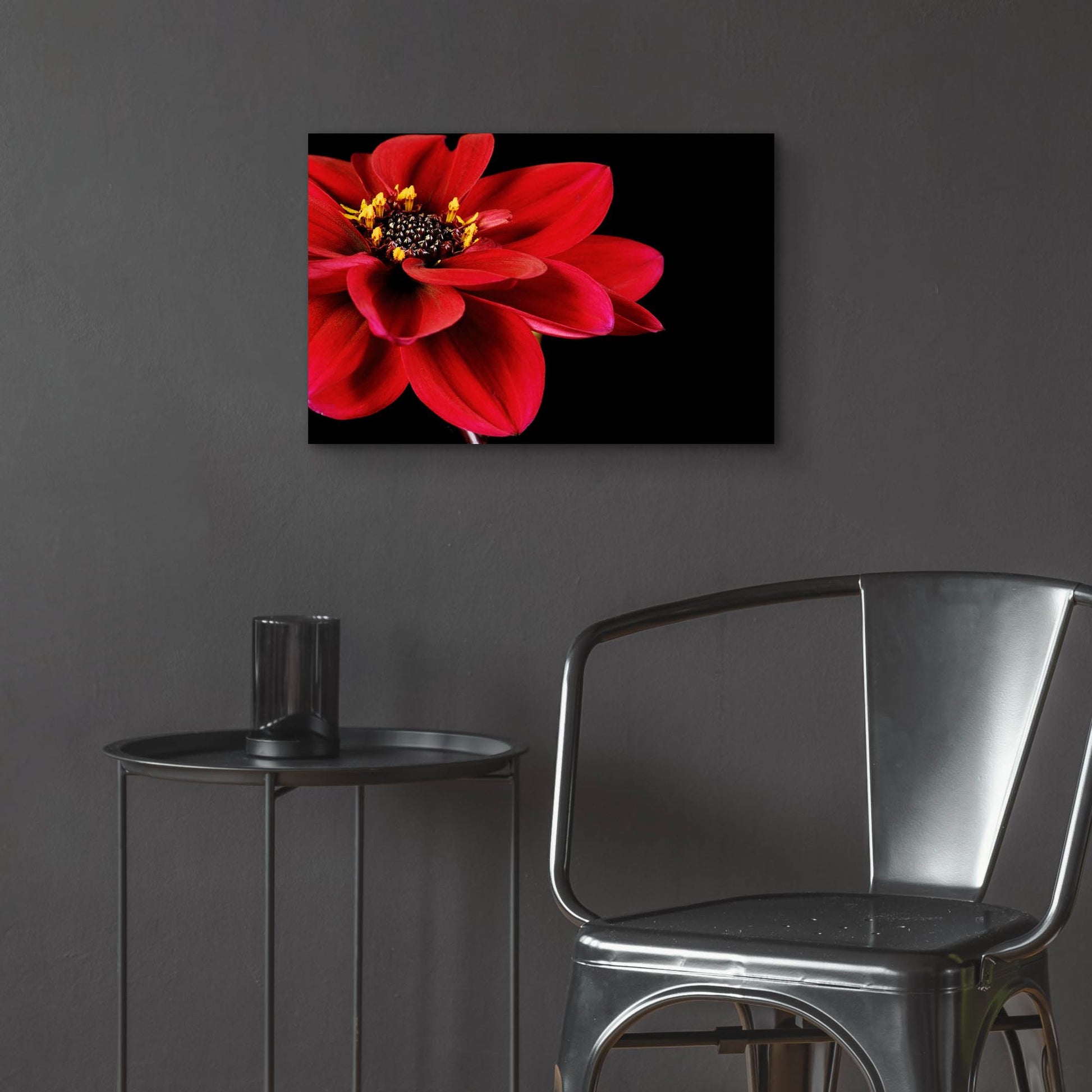 Epic Art 'Red Flower on Black 02' by Tom Quartermaine, Acrylic Glass Wall Art,24x16