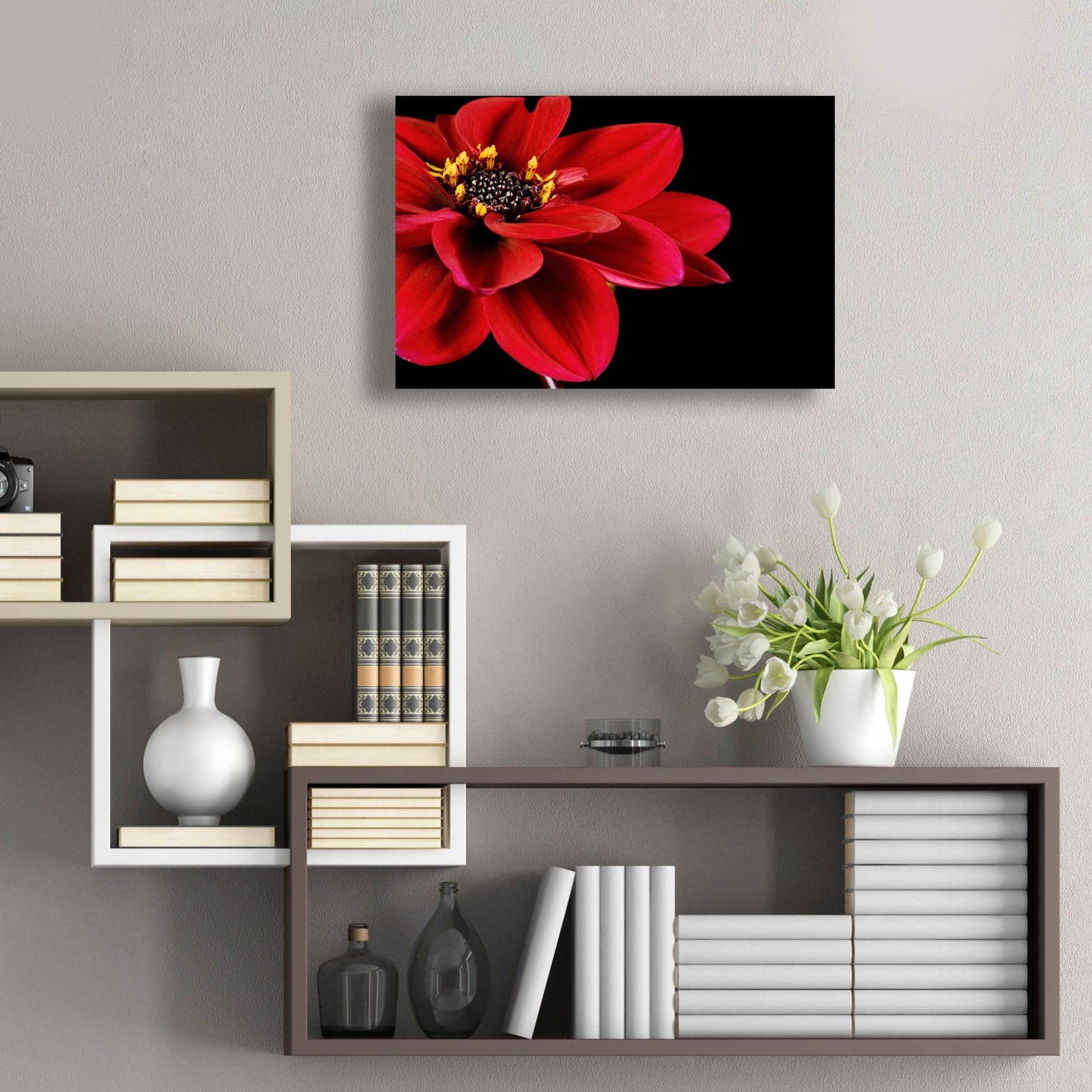 Epic Art 'Red Flower on Black 02' by Tom Quartermaine, Acrylic Glass Wall Art,24x16