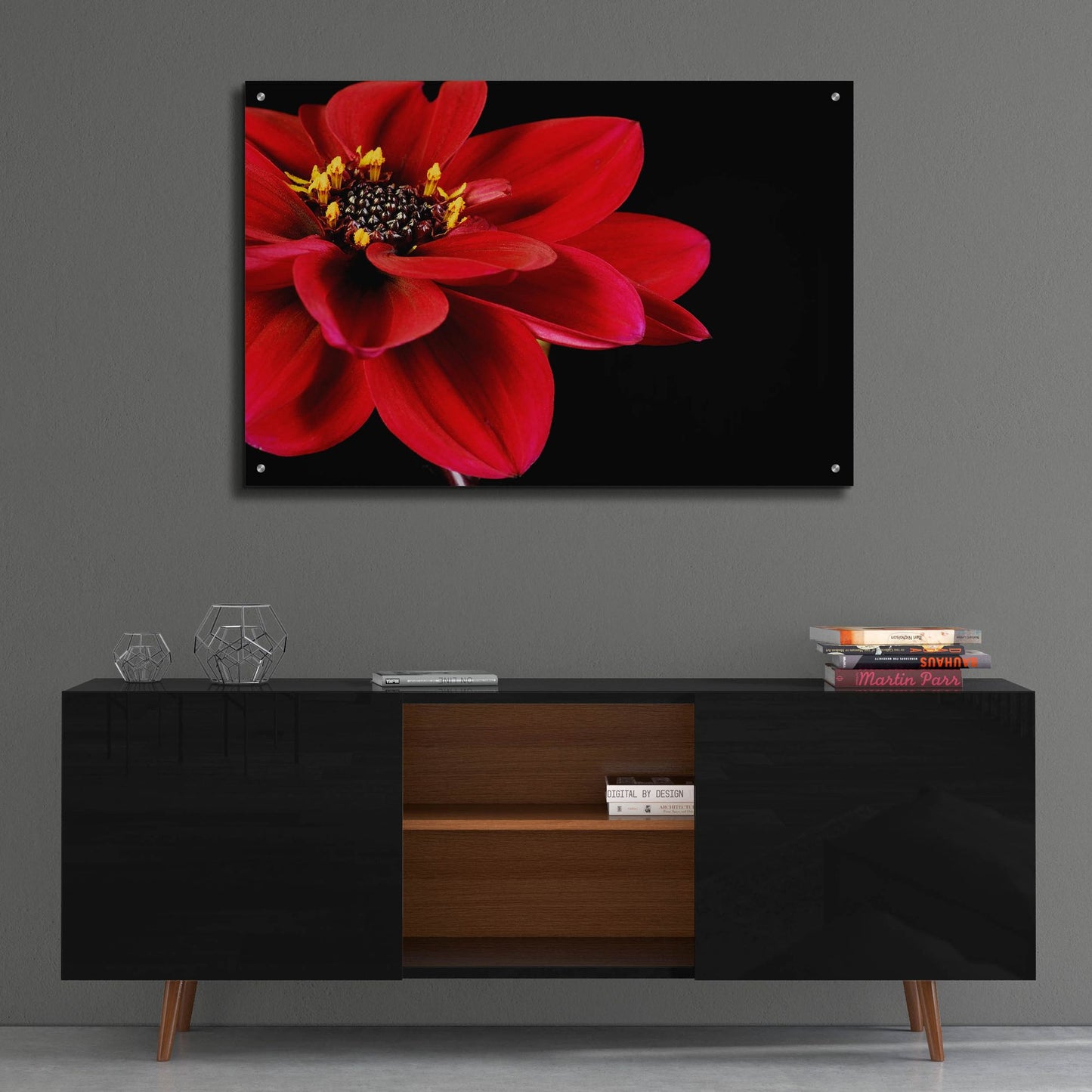 Epic Art 'Red Flower on Black 02' by Tom Quartermaine, Acrylic Glass Wall Art,36x24