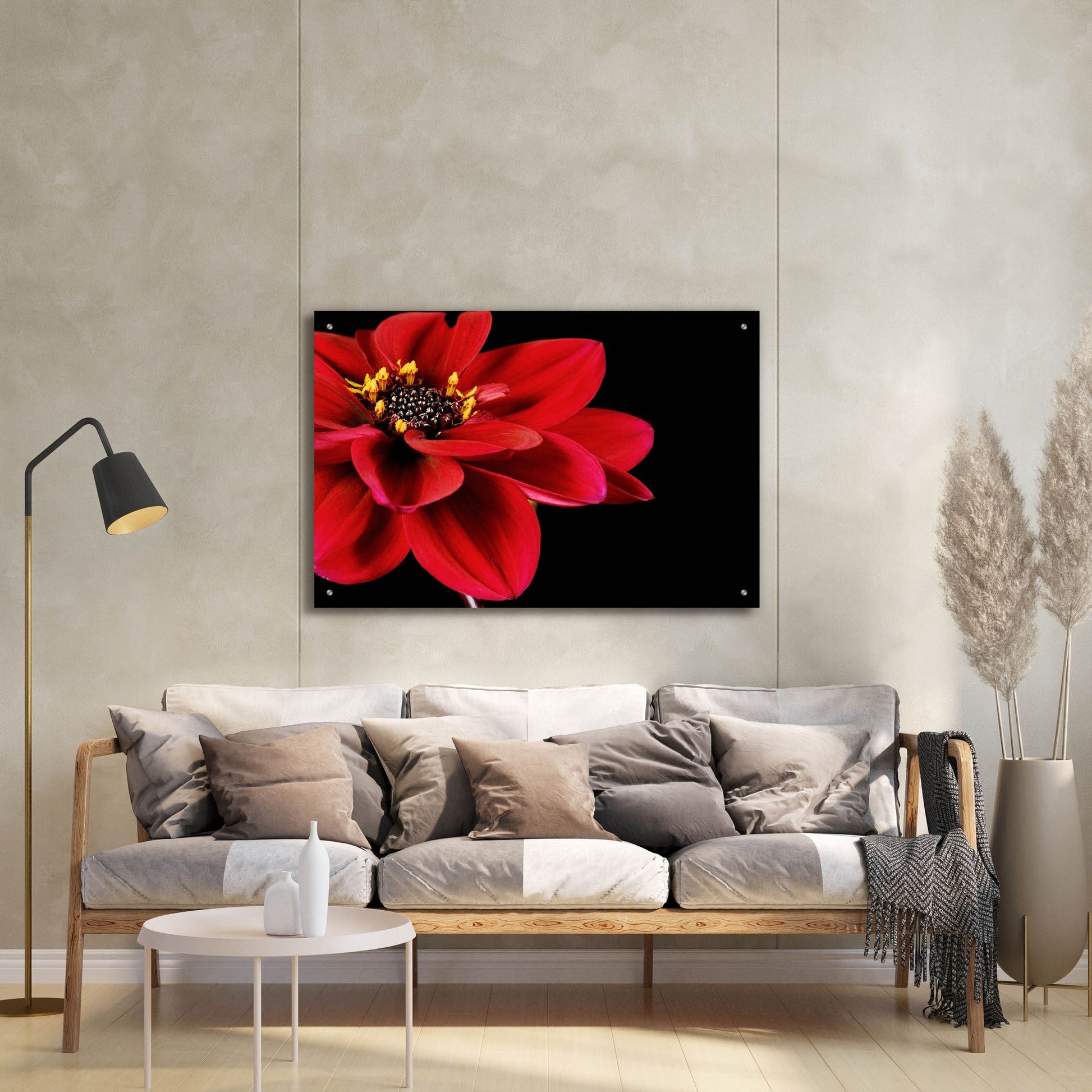 Epic Art 'Red Flower on Black 02' by Tom Quartermaine, Acrylic Glass Wall Art,36x24