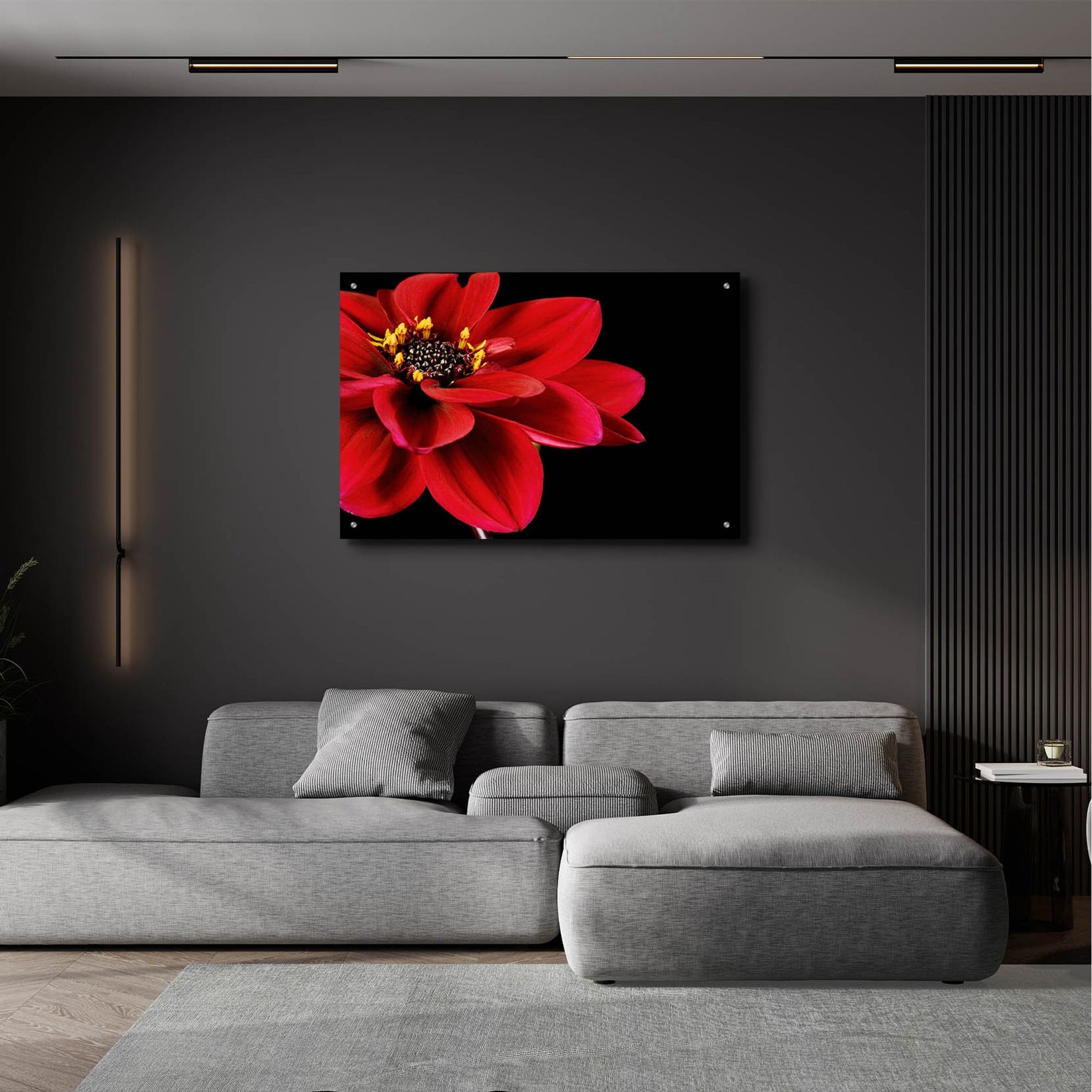 Epic Art 'Red Flower on Black 02' by Tom Quartermaine, Acrylic Glass Wall Art,36x24