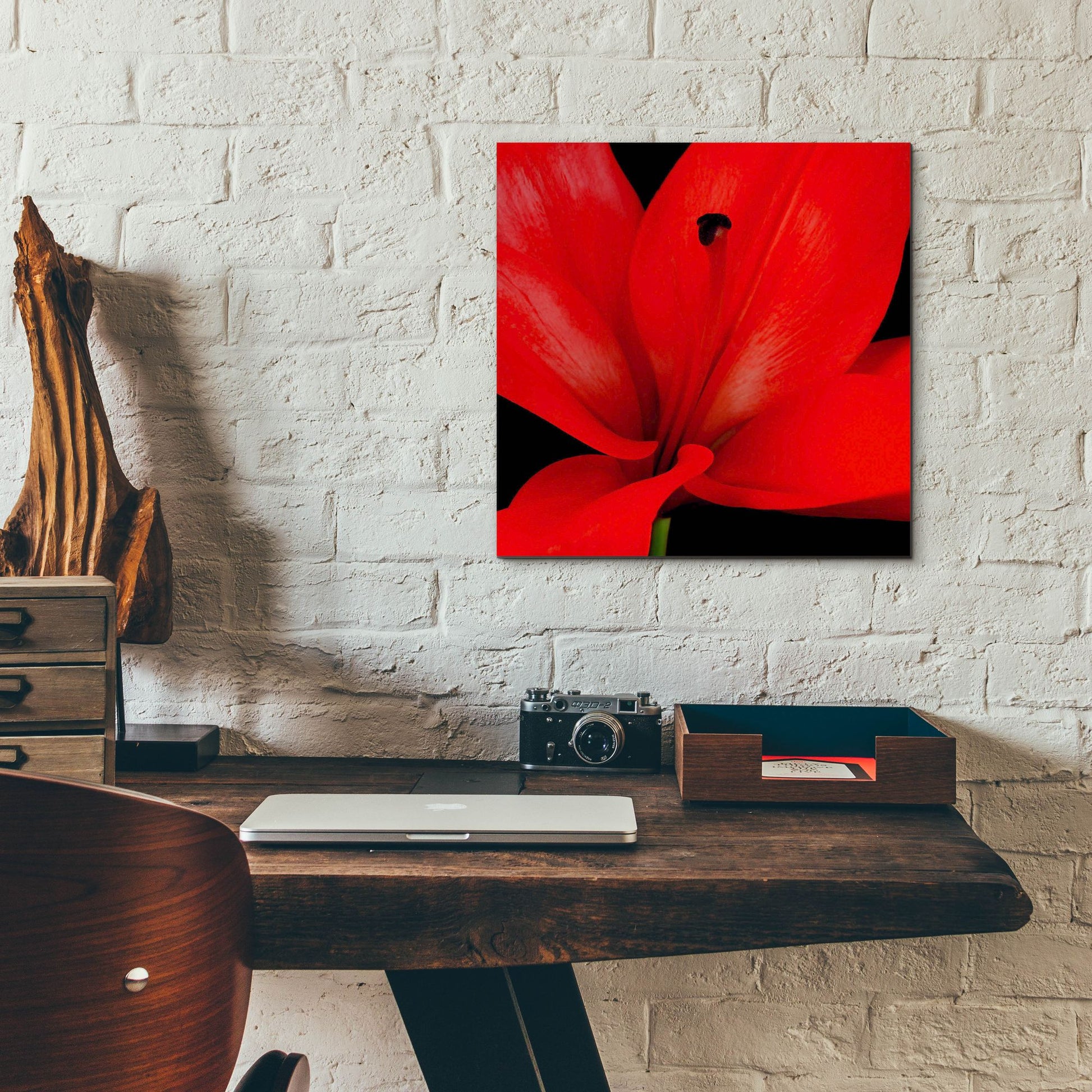 Epic Art 'Red Flower on Black 03' by Tom Quartermaine, Acrylic Glass Wall Art,12x12