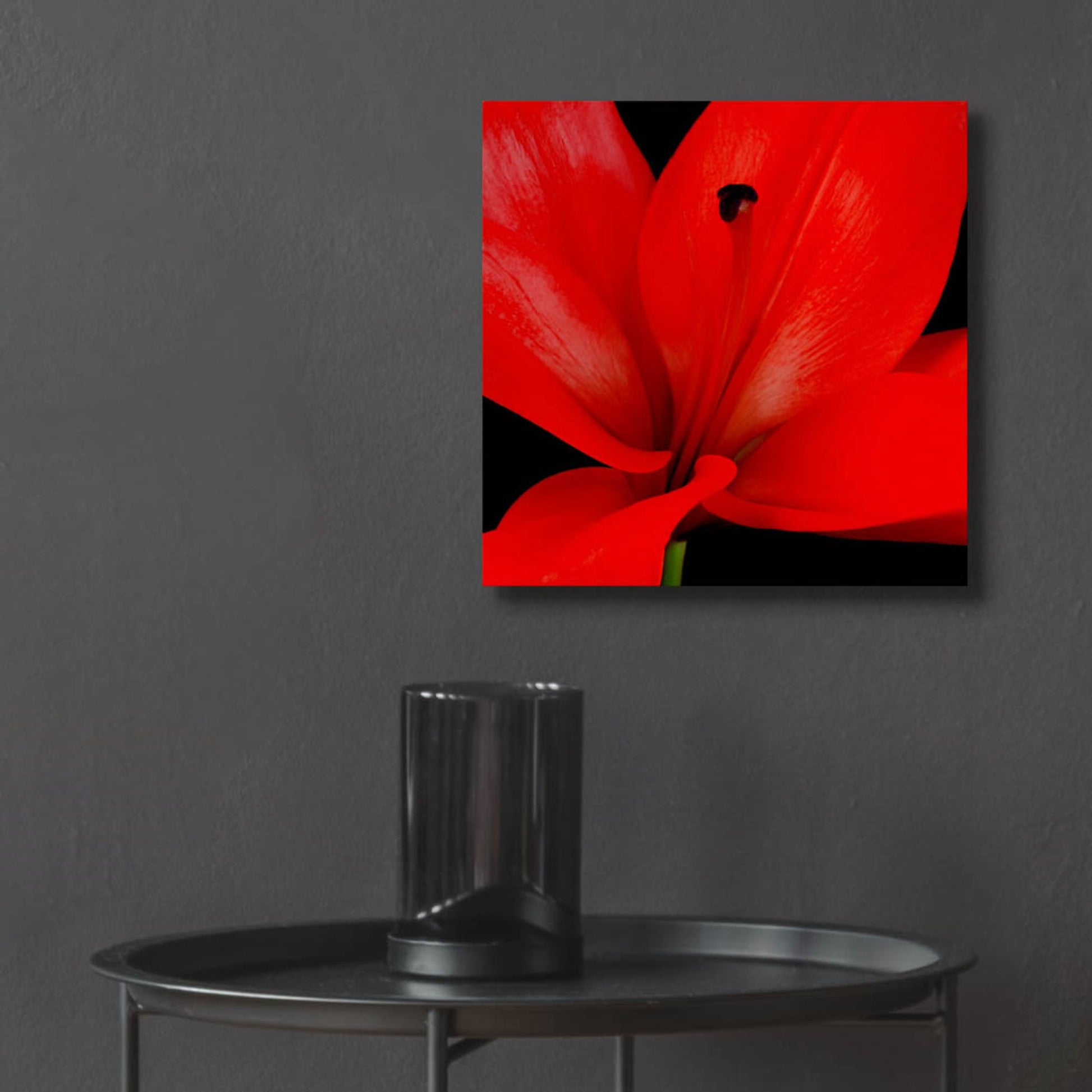 Epic Art 'Red Flower on Black 03' by Tom Quartermaine, Acrylic Glass Wall Art,12x12