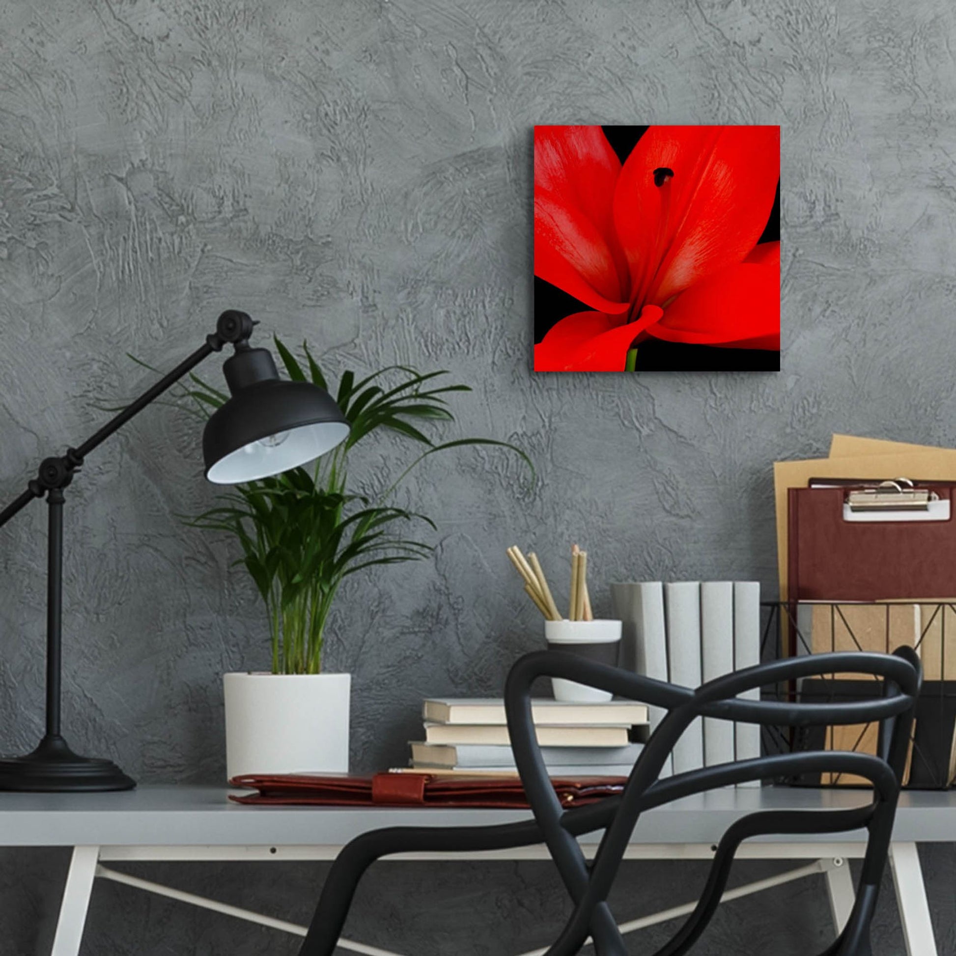 Epic Art 'Red Flower on Black 03' by Tom Quartermaine, Acrylic Glass Wall Art,12x12