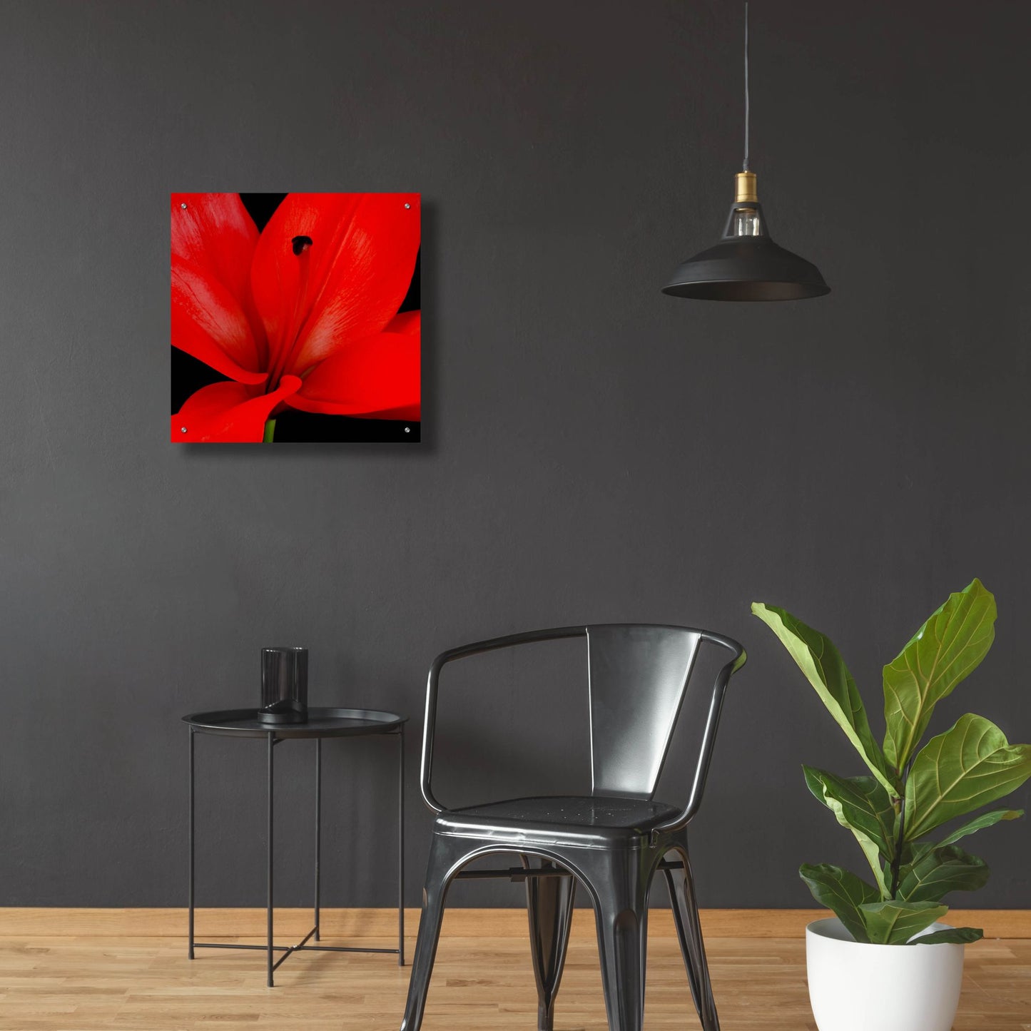 Epic Art 'Red Flower on Black 03' by Tom Quartermaine, Acrylic Glass Wall Art,24x24