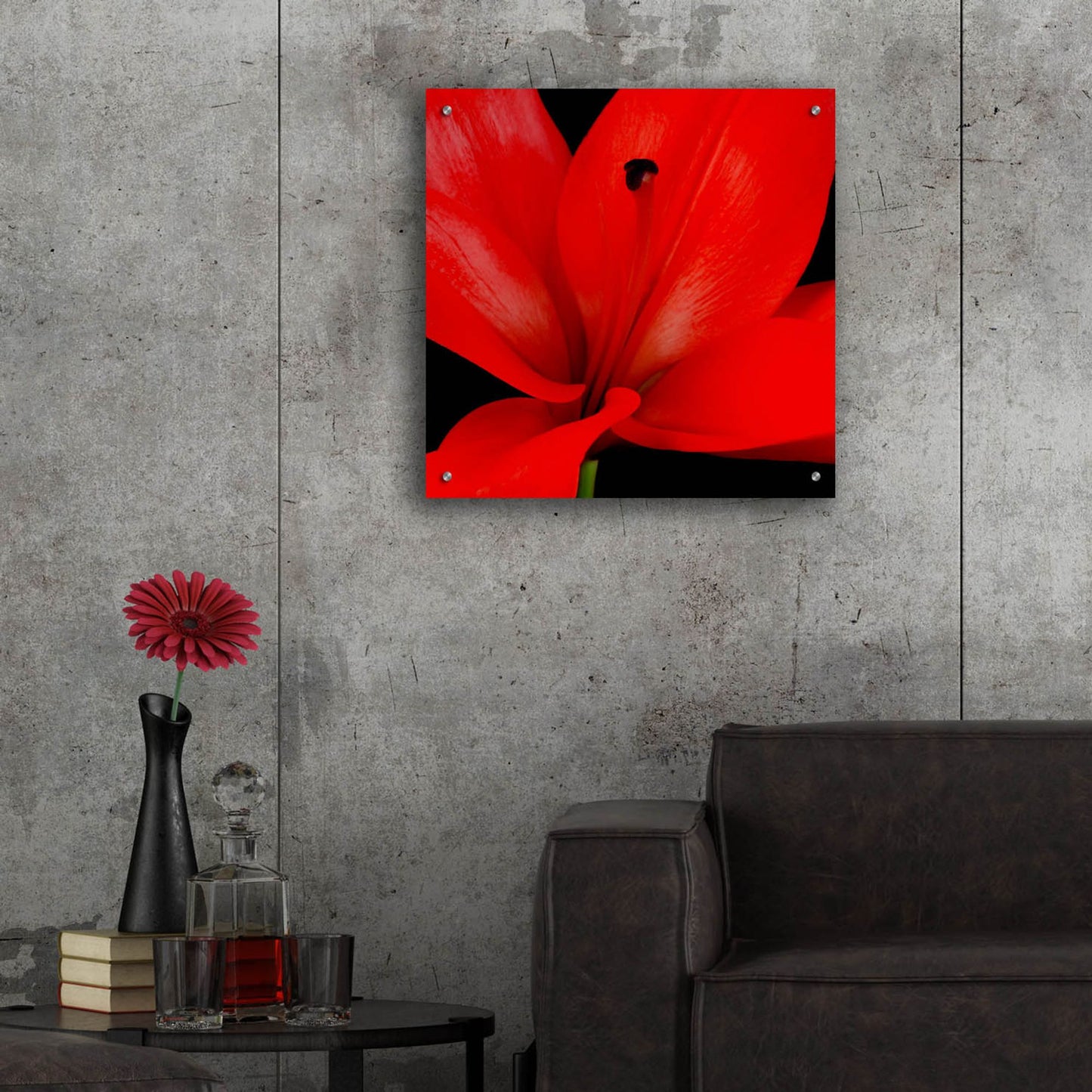 Epic Art 'Red Flower on Black 03' by Tom Quartermaine, Acrylic Glass Wall Art,24x24