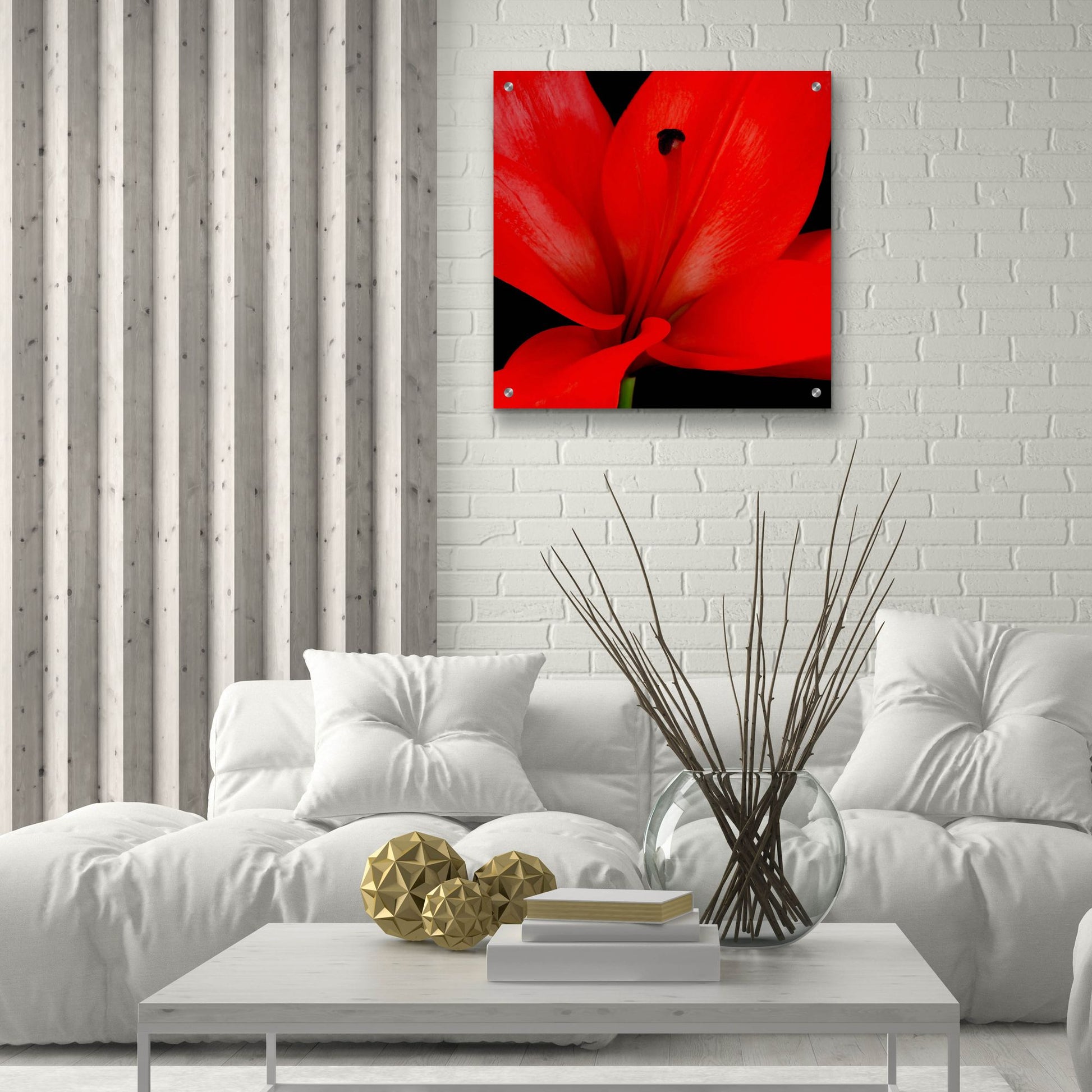 Epic Art 'Red Flower on Black 03' by Tom Quartermaine, Acrylic Glass Wall Art,24x24