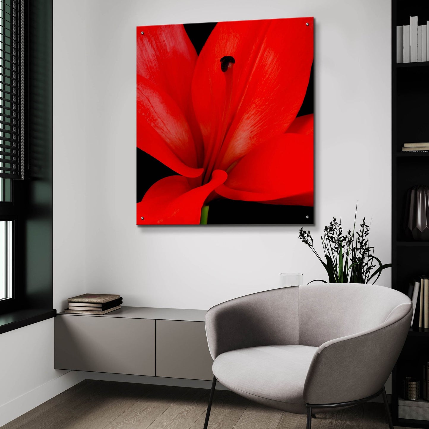 Epic Art 'Red Flower on Black 03' by Tom Quartermaine, Acrylic Glass Wall Art,36x36