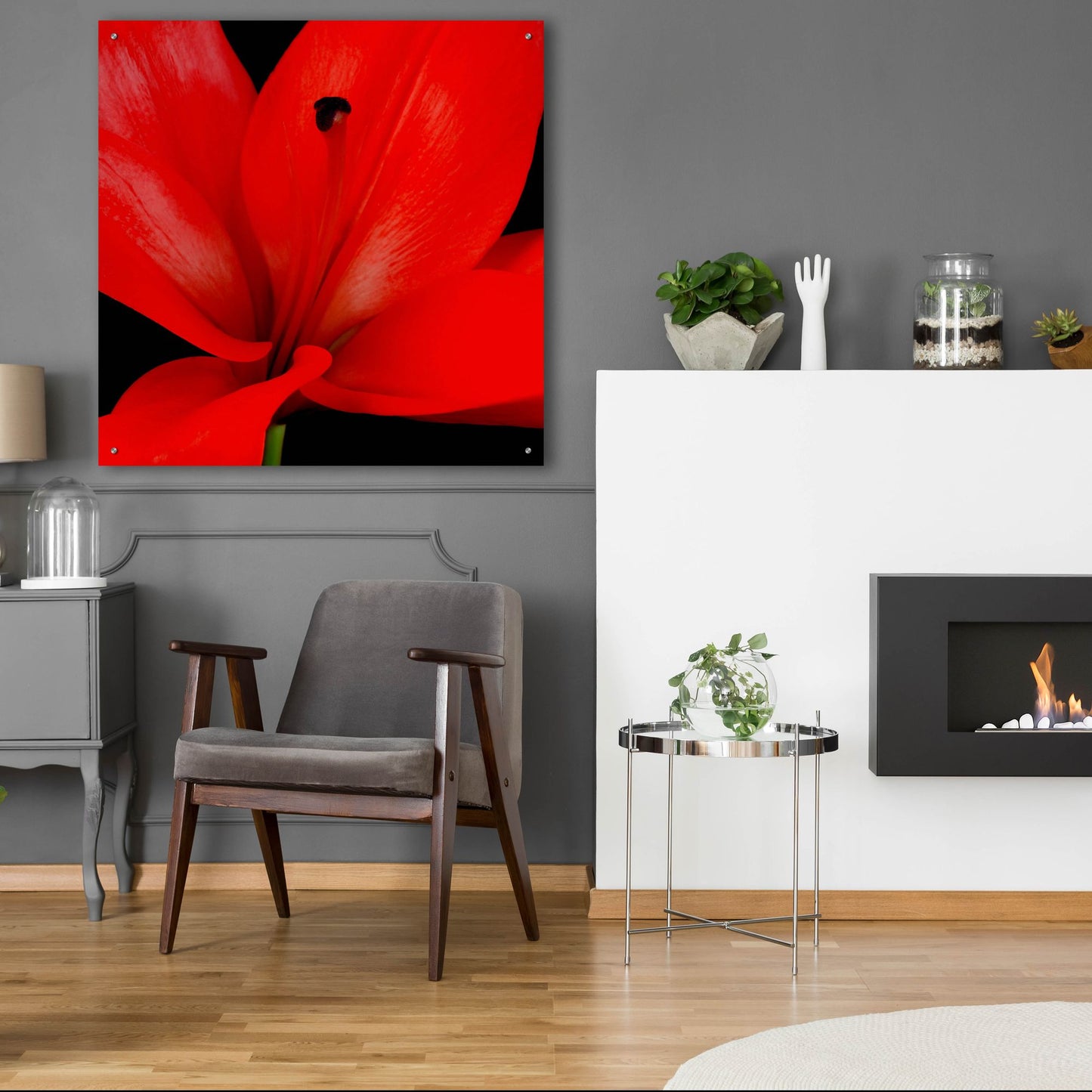 Epic Art 'Red Flower on Black 03' by Tom Quartermaine, Acrylic Glass Wall Art,36x36