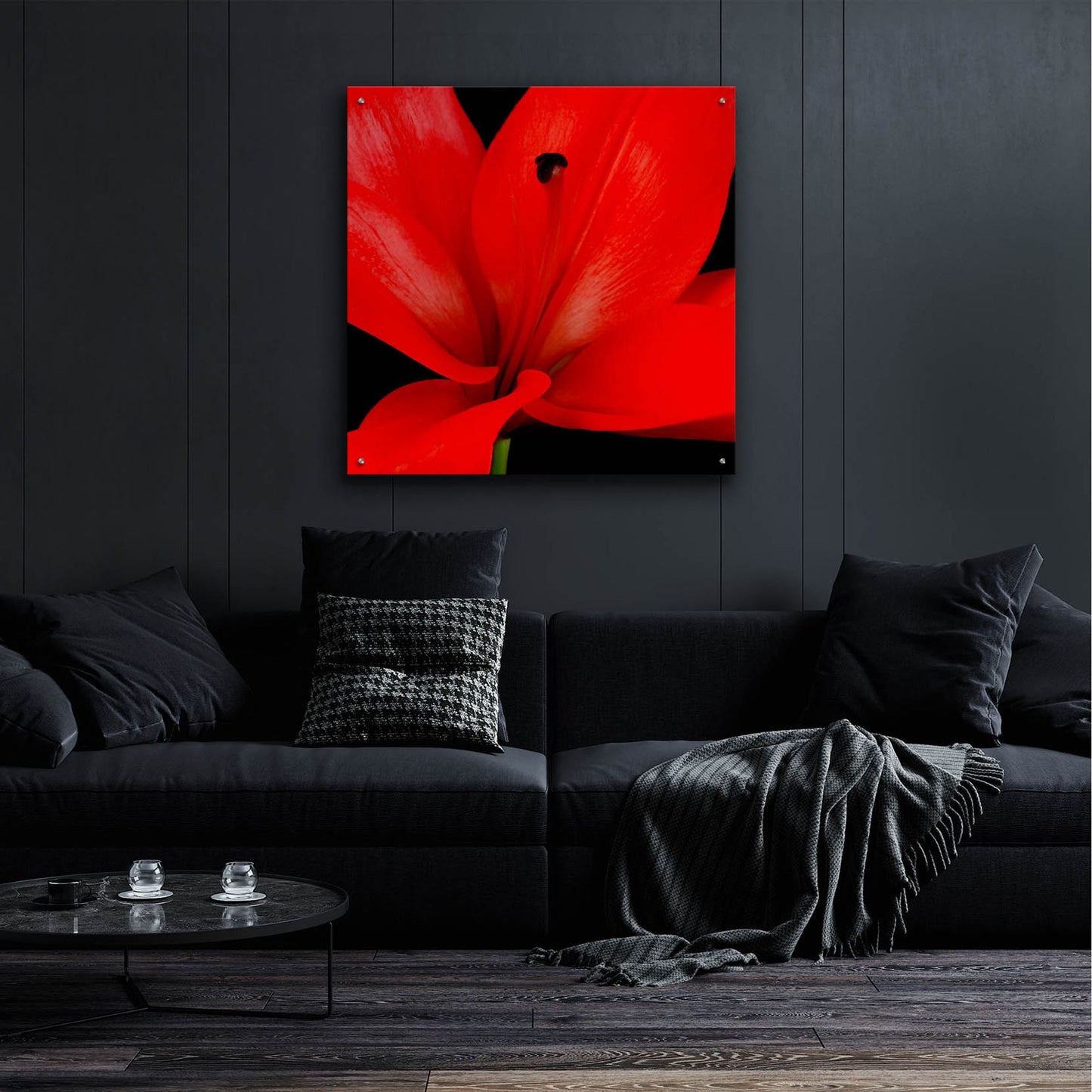 Epic Art 'Red Flower on Black 03' by Tom Quartermaine, Acrylic Glass Wall Art,36x36