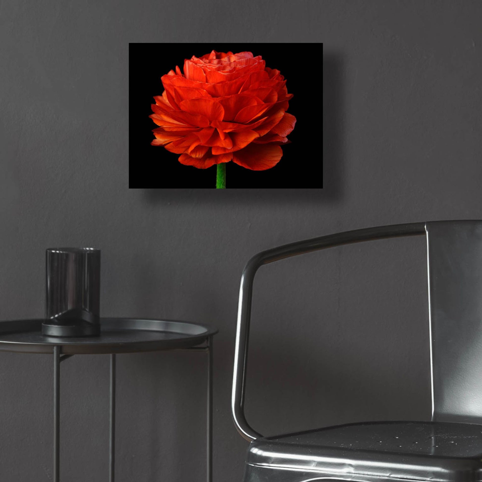 Epic Art 'Red Flower on Black 04' by Tom Quartermaine, Acrylic Glass Wall Art,16x12