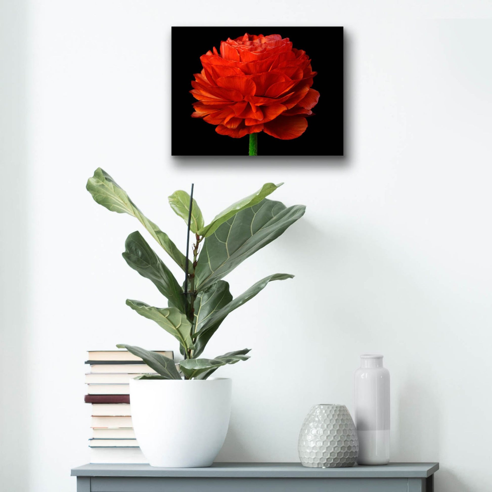 Epic Art 'Red Flower on Black 04' by Tom Quartermaine, Acrylic Glass Wall Art,16x12