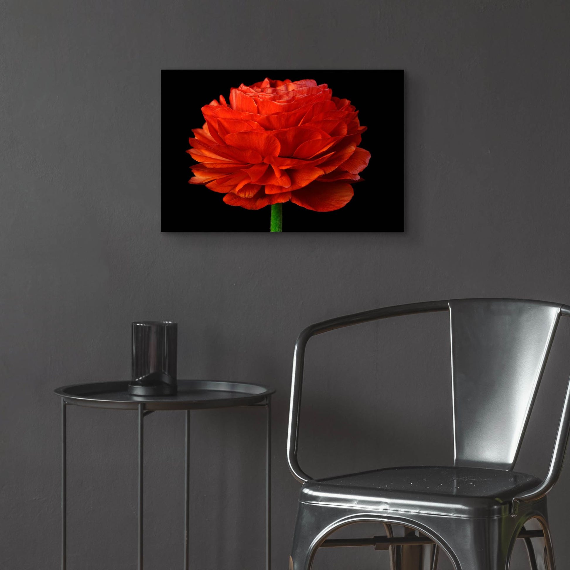 Epic Art 'Red Flower on Black 04' by Tom Quartermaine, Acrylic Glass Wall Art,24x16