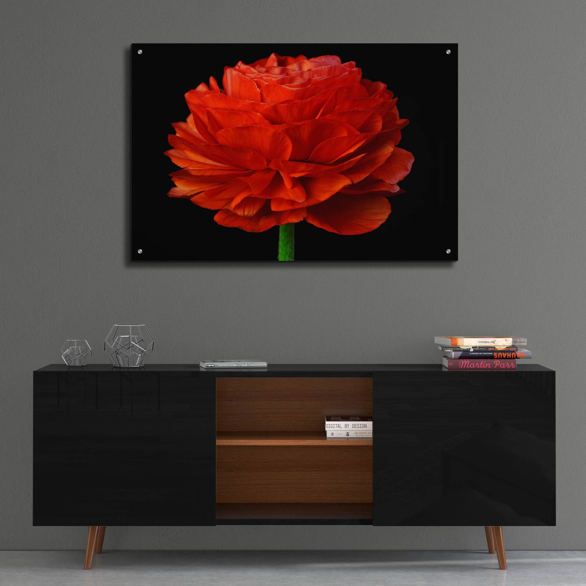 Epic Art 'Red Flower on Black 04' by Tom Quartermaine, Acrylic Glass Wall Art,36x24