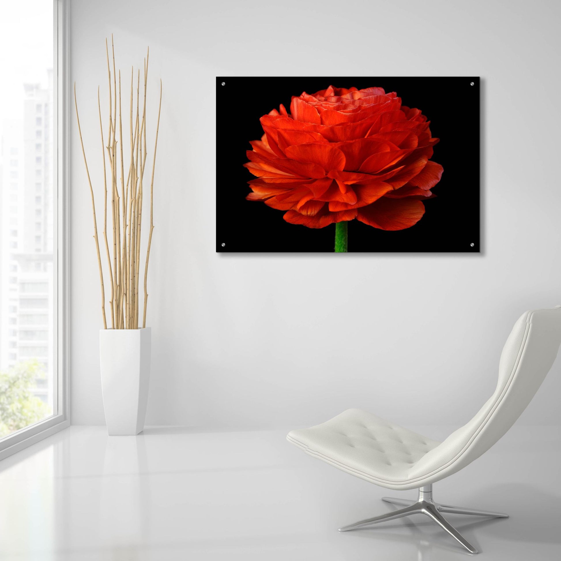 Epic Art 'Red Flower on Black 04' by Tom Quartermaine, Acrylic Glass Wall Art,36x24