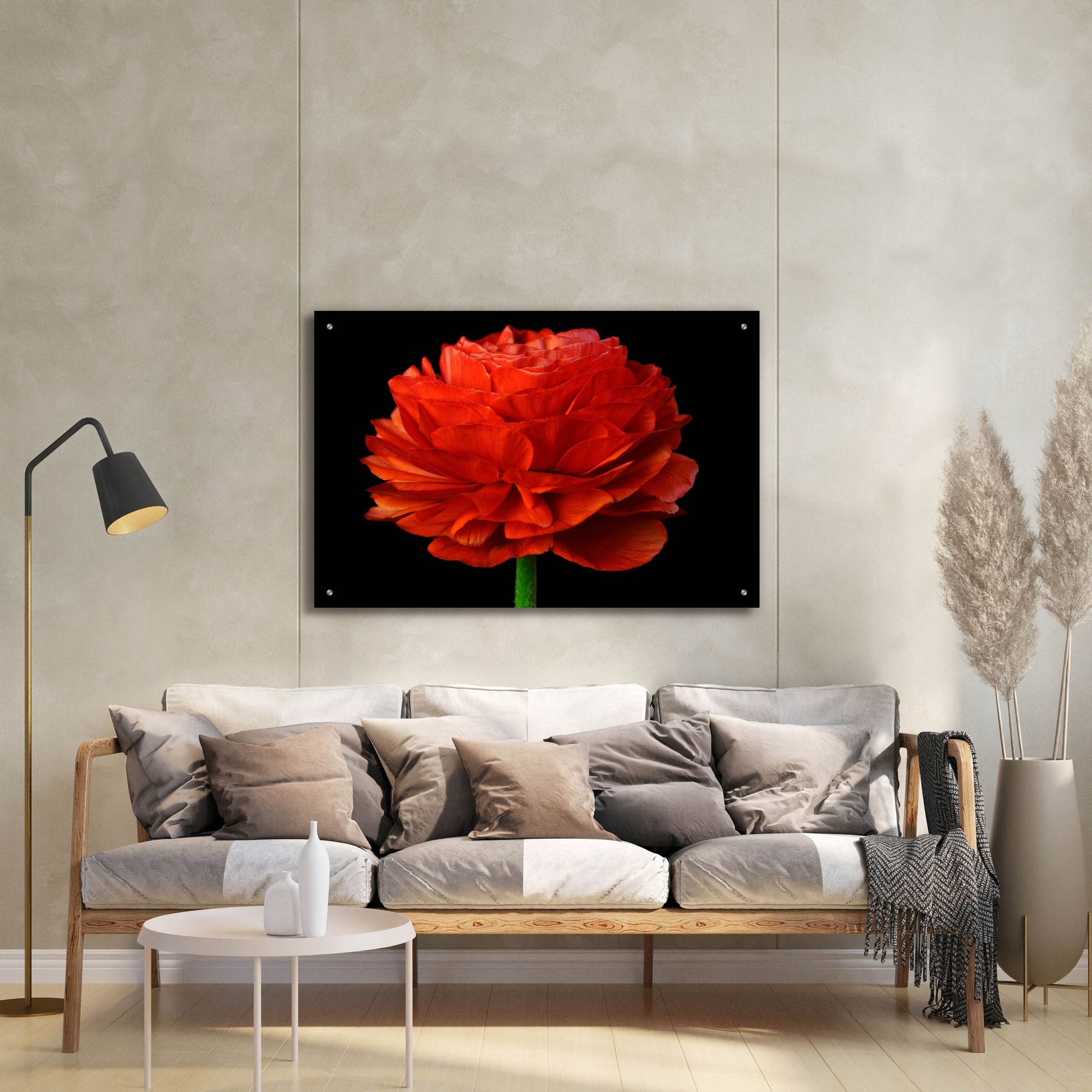 Epic Art 'Red Flower on Black 04' by Tom Quartermaine, Acrylic Glass Wall Art,36x24